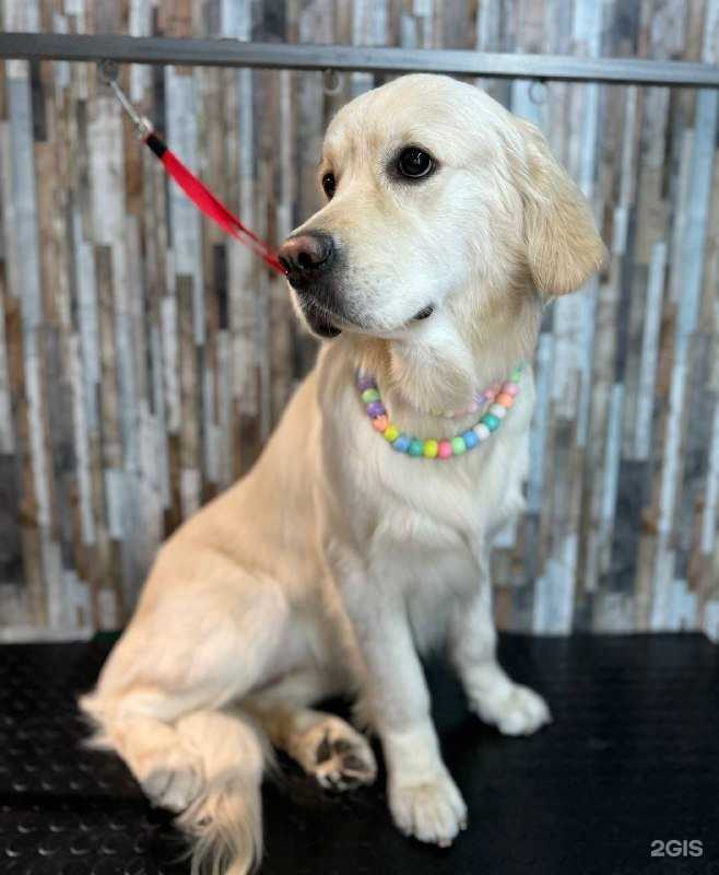 Отзывы на компанию Амор в Иркутске c фото