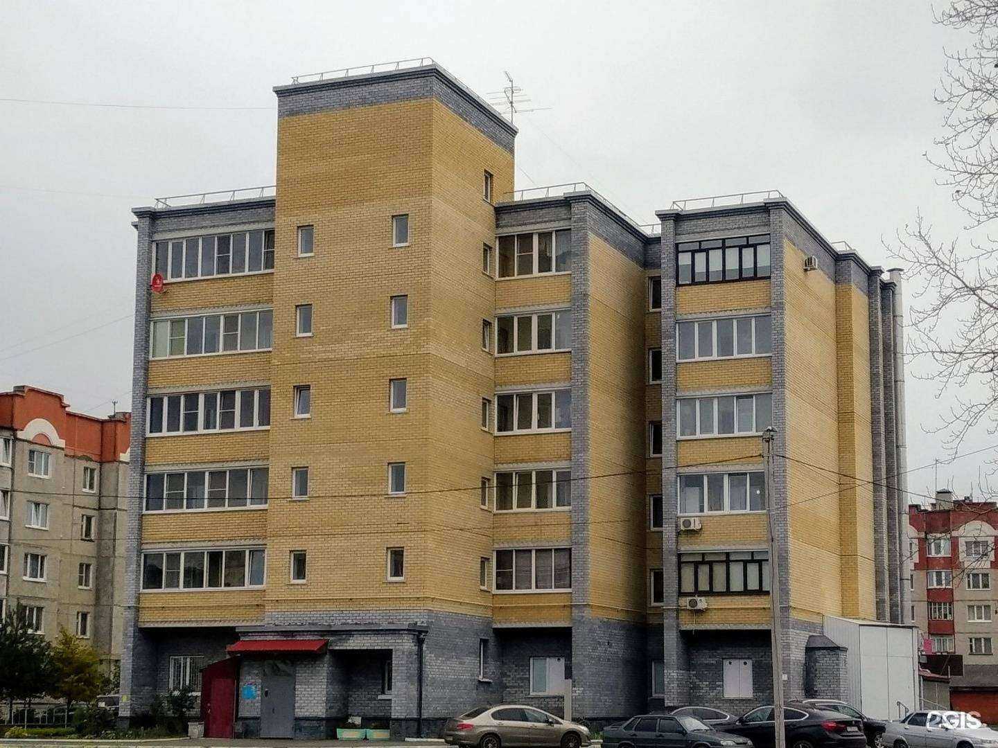 Отзывы на компанию Наш грумер в Владимире c фото - фотография 2 из 2