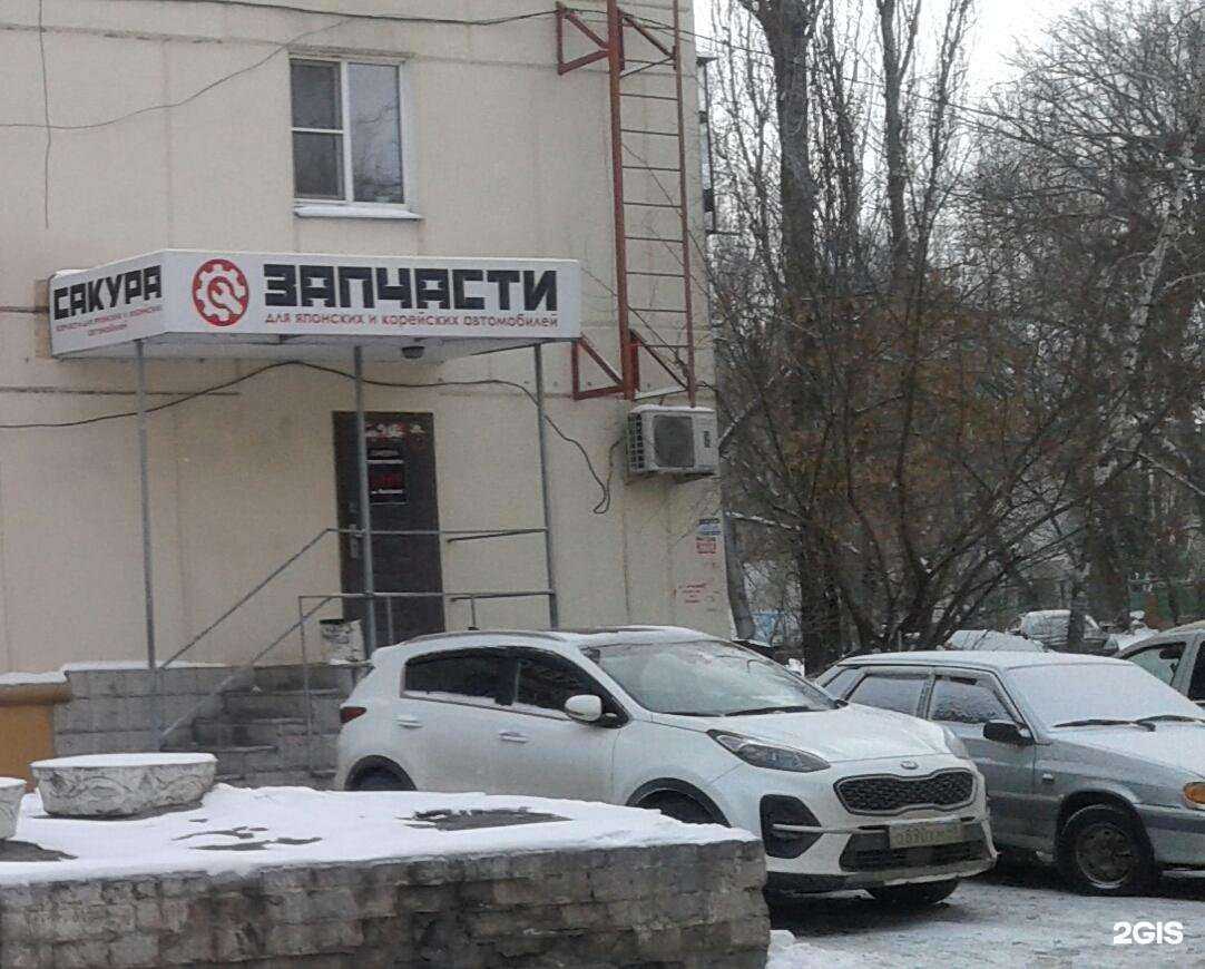 Отзывы на компанию Сакура в Липецке c фото