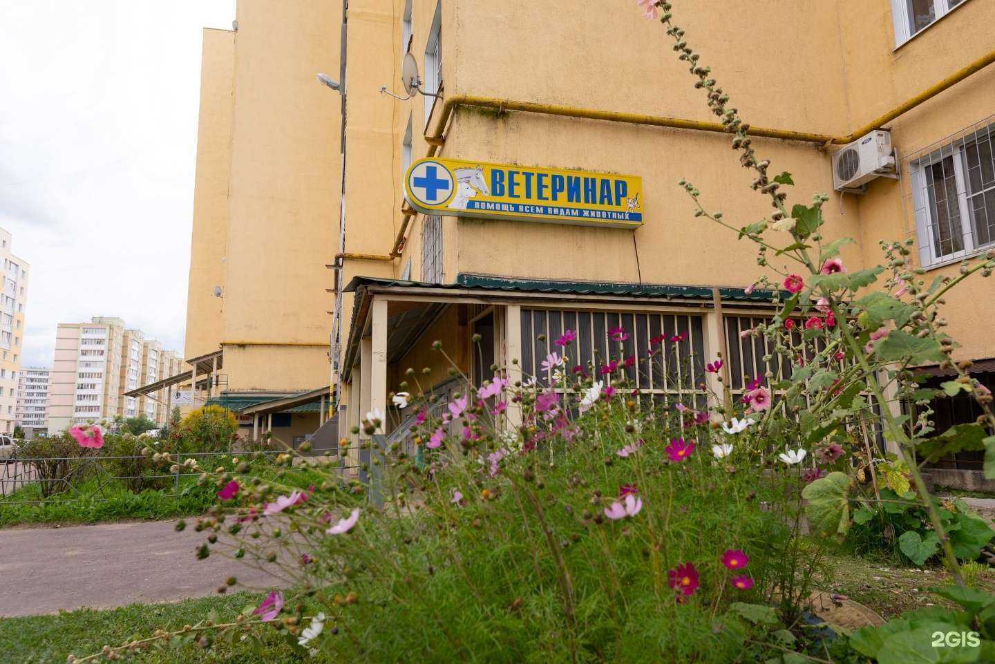 Отзывы на компанию Ветеринар в г. Тверь c фото