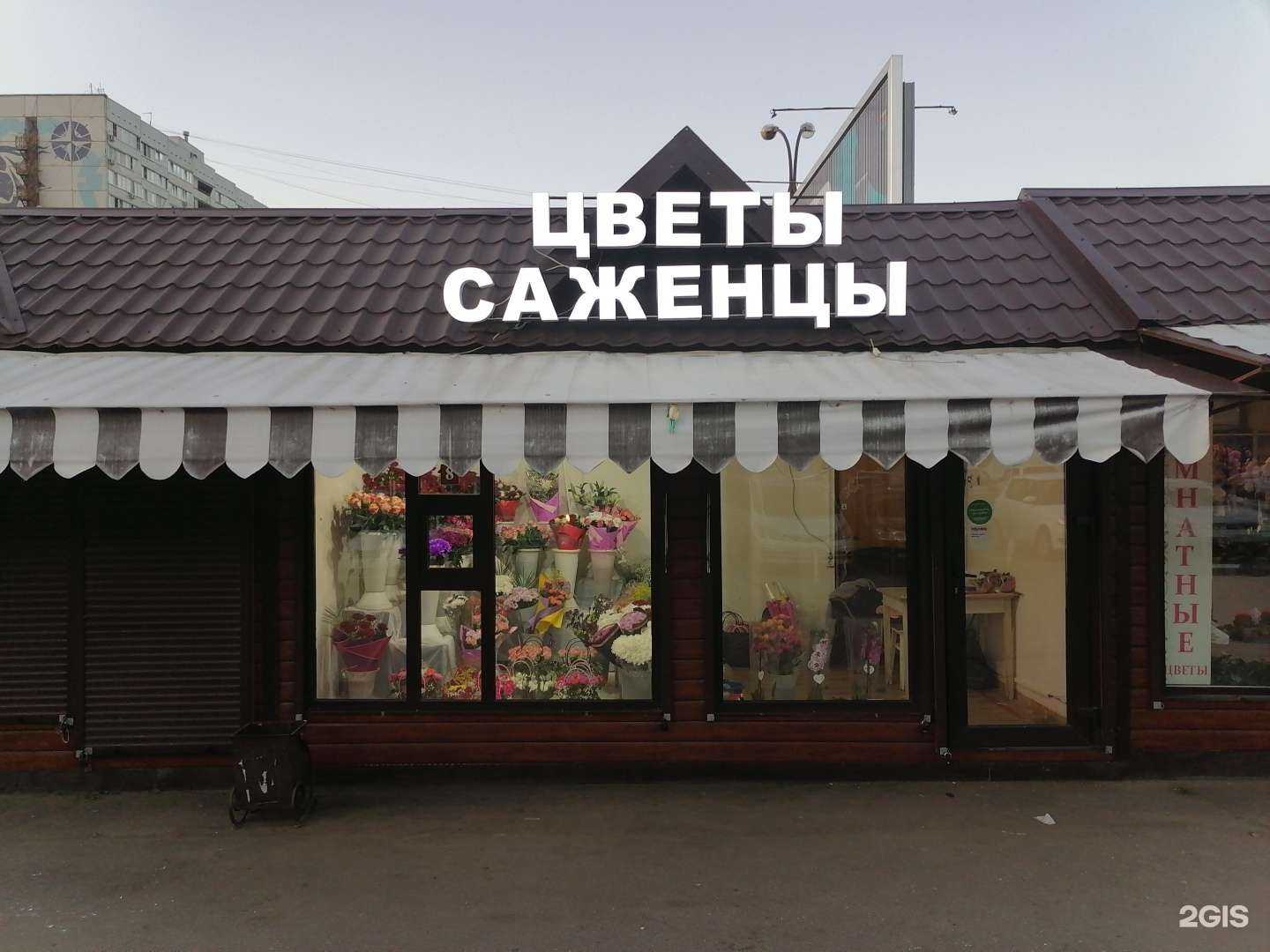 Отзывы на компанию Александровский сад в Воронеже c фото