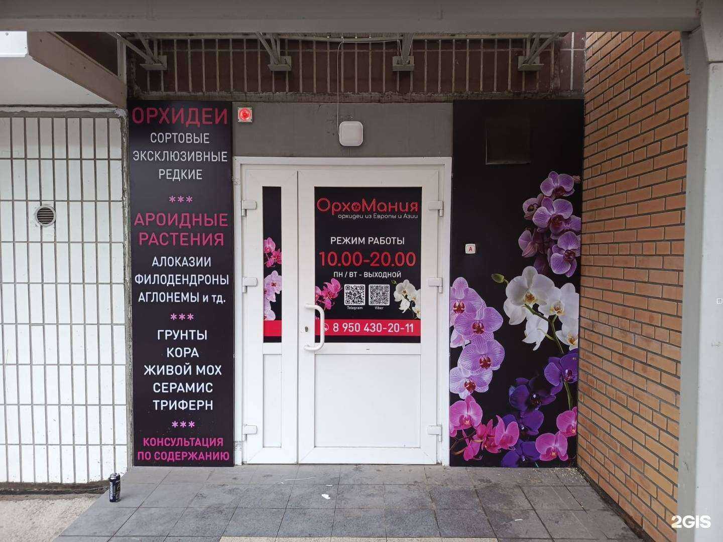 Отзывы на компанию ОрхоМания в г. Красноярск c фото