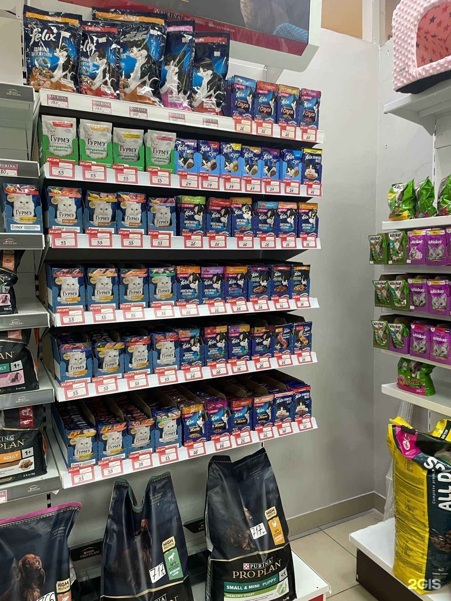 Отзывы на компанию Питомец в г. Абакан c фото