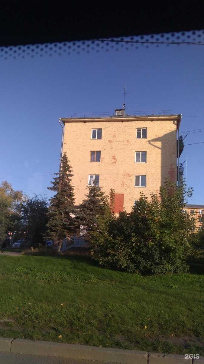 Отзывы на компанию Клуб боевого джиу-джитсу и самозащиты Кузбасса в Кемерове c фото - фотография 2 из 2