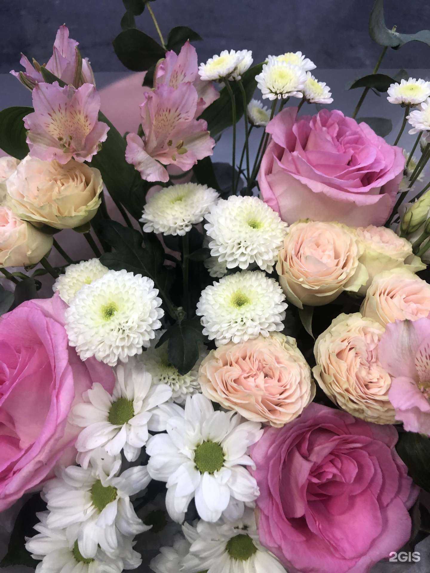 Отзывы на компанию Жар свежар в Иркутске c фото - фотография 2 из 2