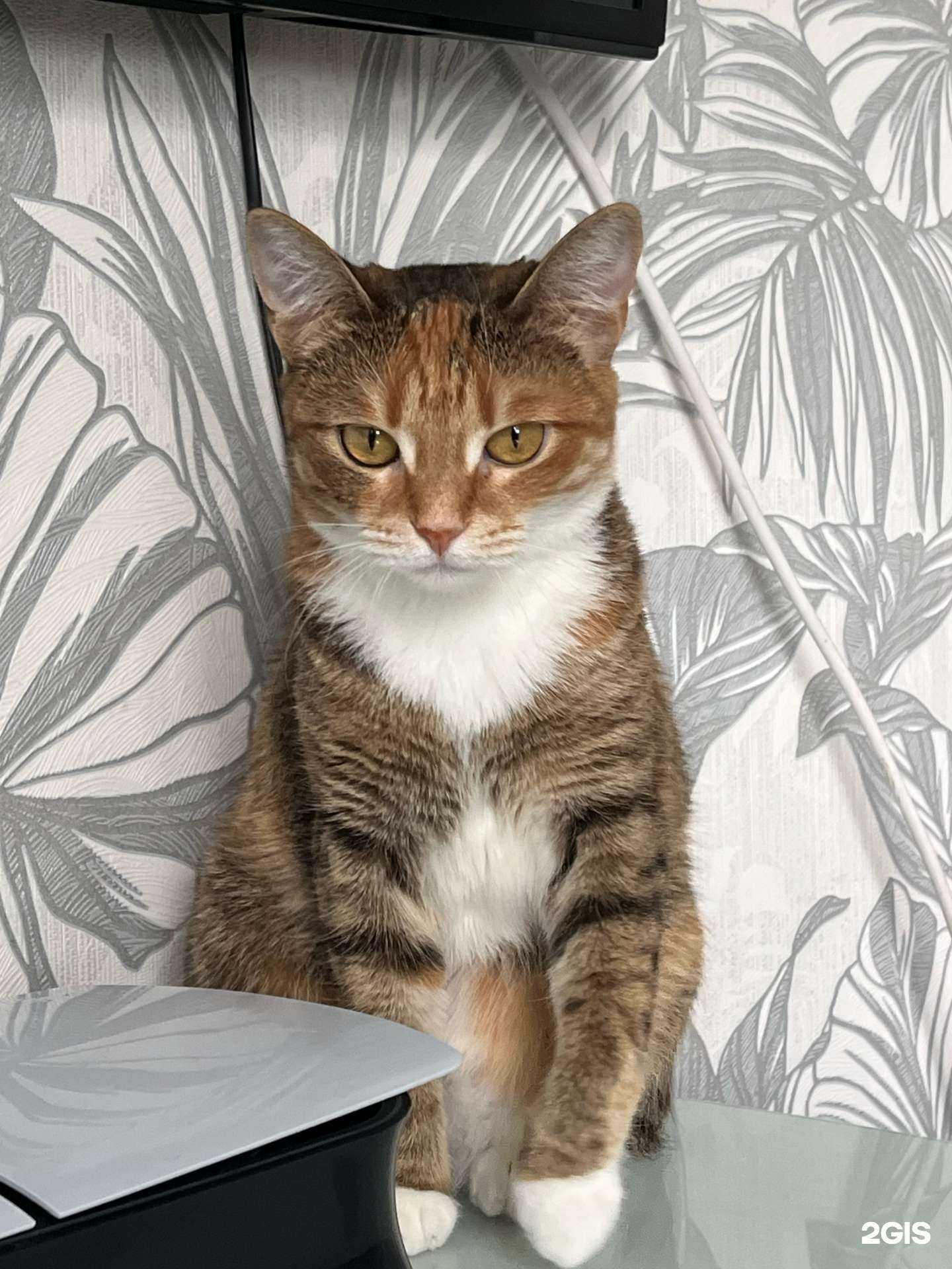 Отзывы на компанию Ветеринарка в Уфе c фото