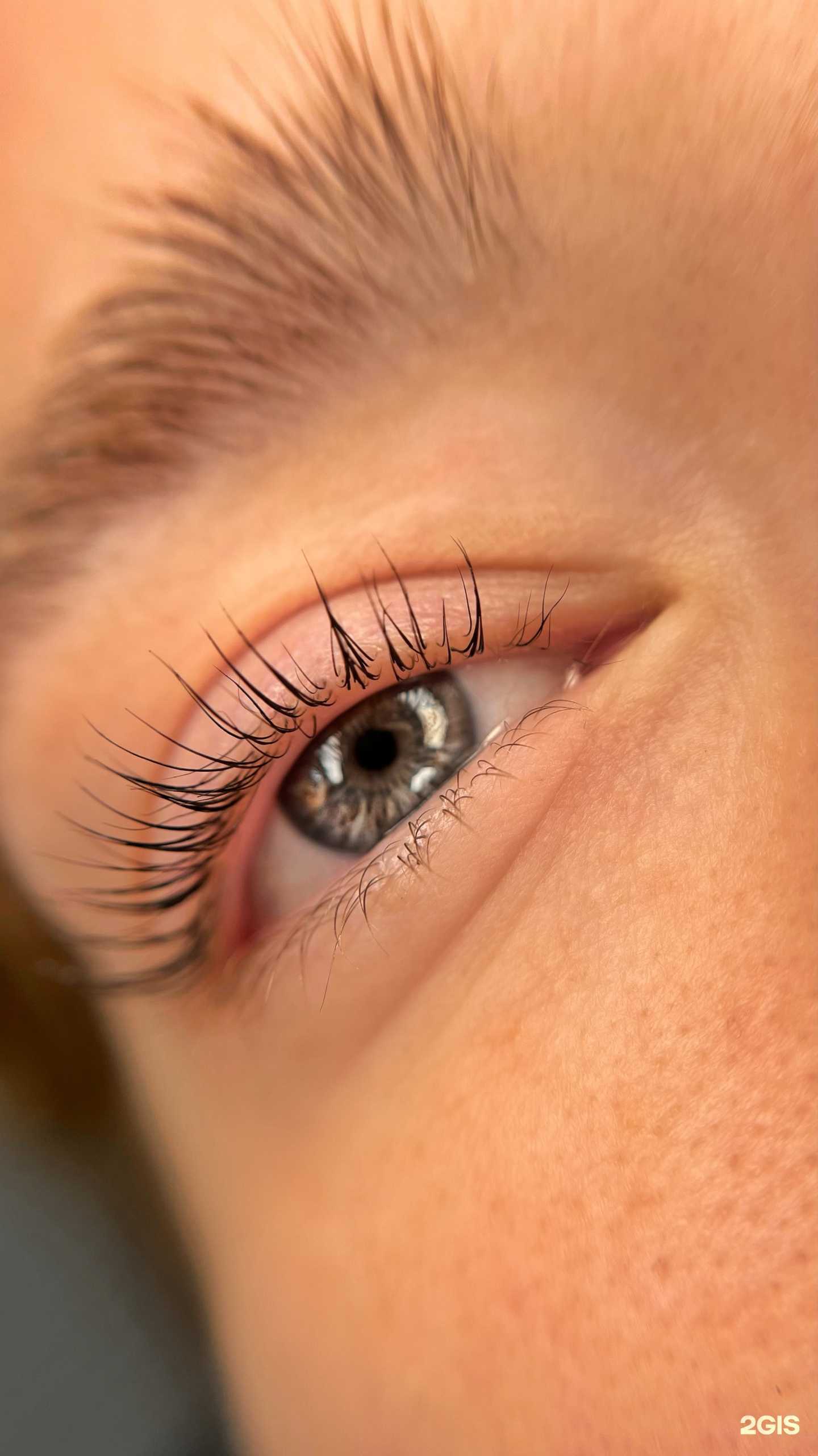 Отзывы на компанию ViVa Studio в Владивостоке c фото