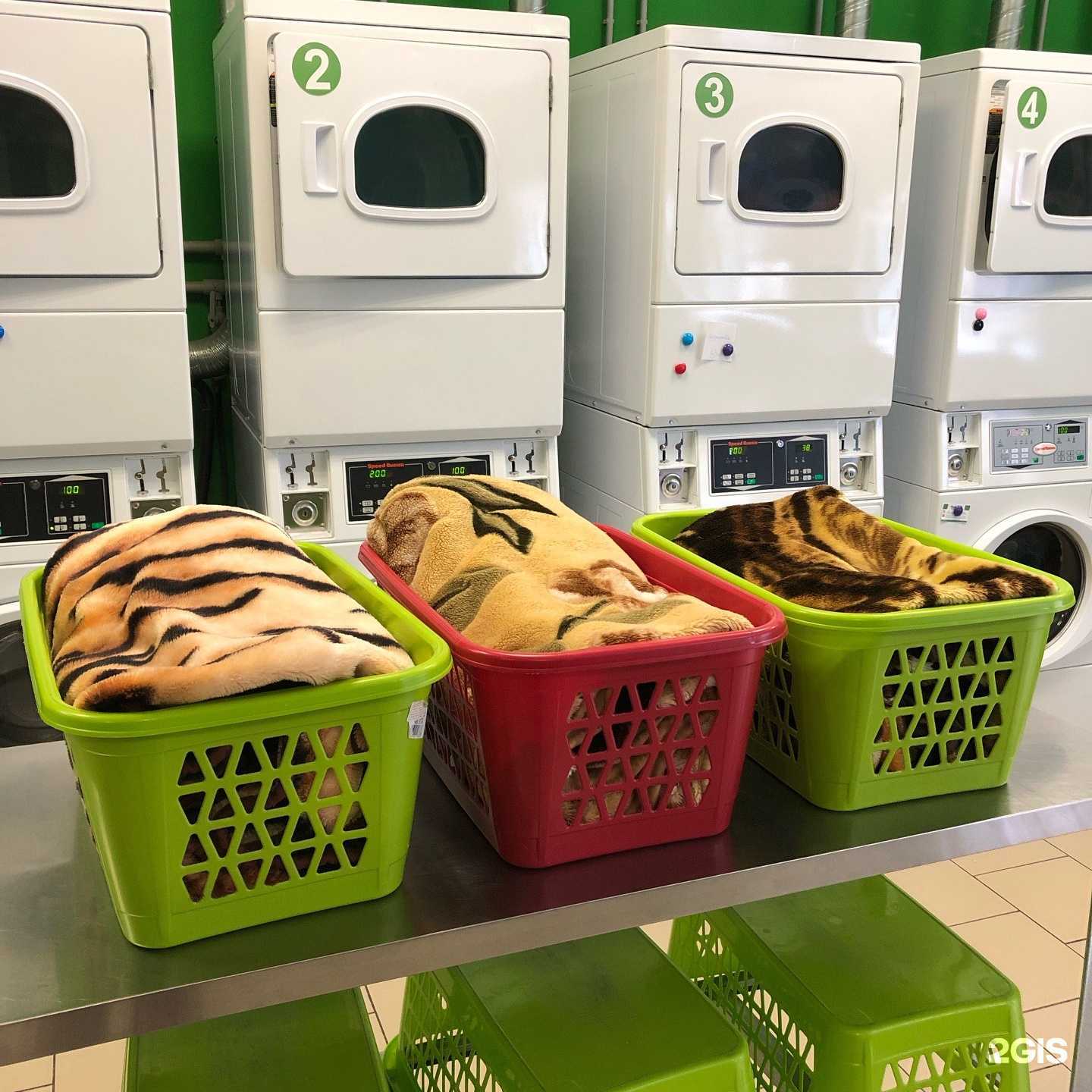 Отзывы на компанию Сампрачка в Нижнем Новгороде c фото