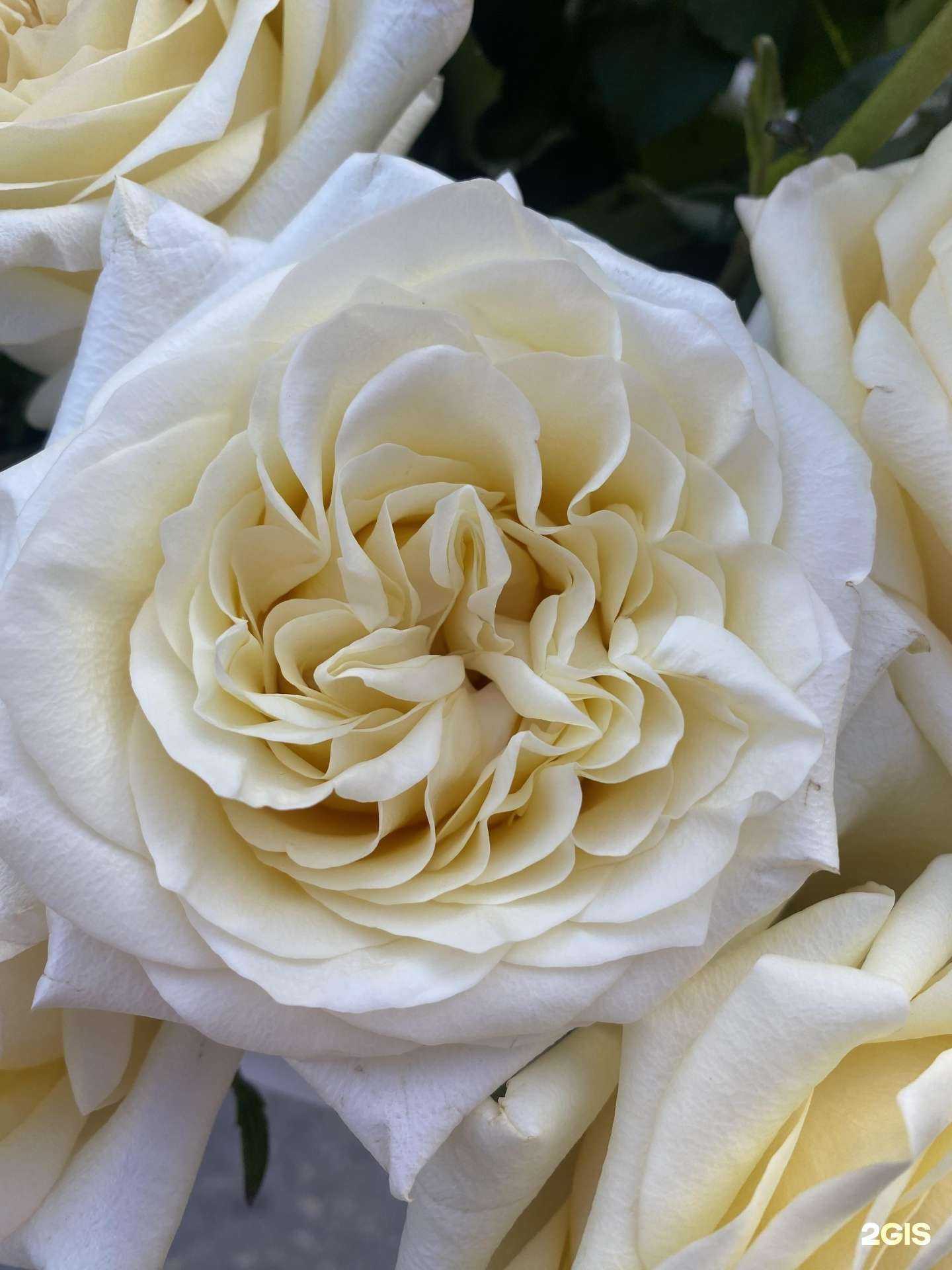 Отзывы на компанию Цветочный наряд в г. Иркутск c фото