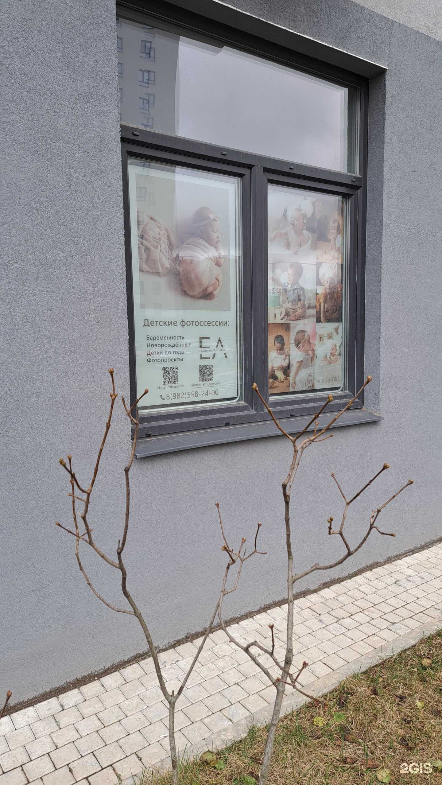 Отзывы на компанию EA в Ярославле c фото