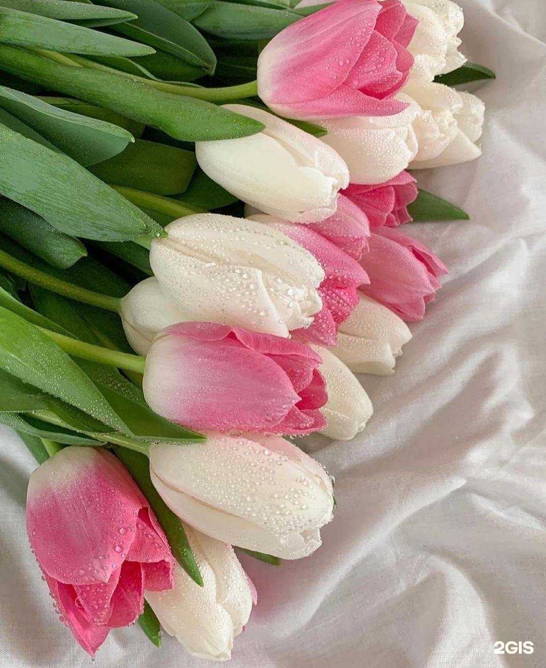 Отзывы на компанию Barbaris в Владимире c фото