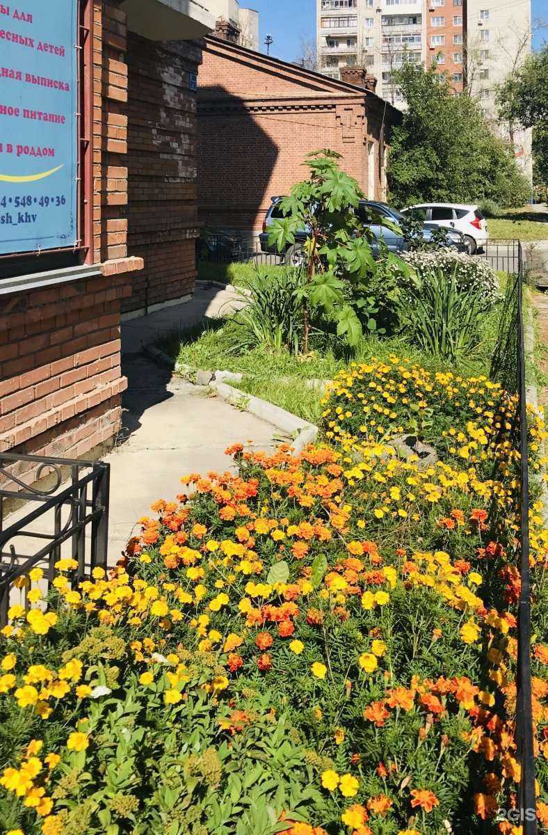 Отзывы на компанию Малыш в г. Хабаровск c фото