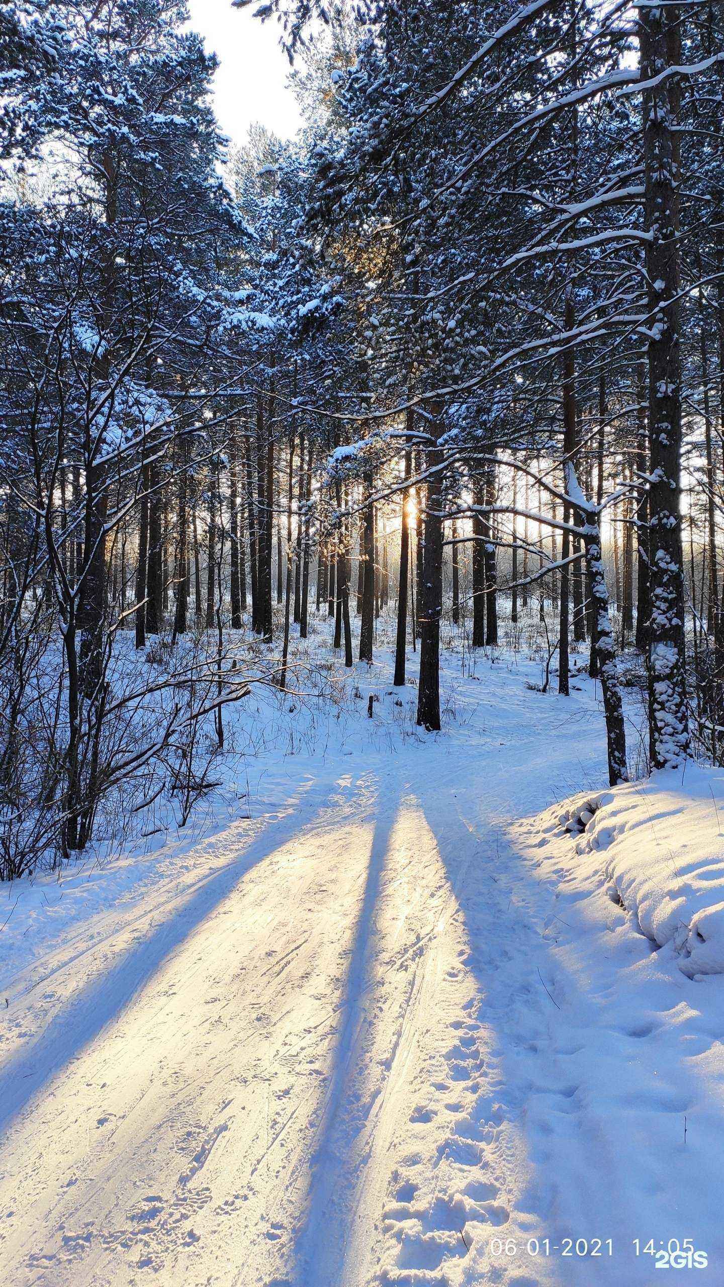 Отзывы на компанию Лыжная база в г. Екатеринбург c фото