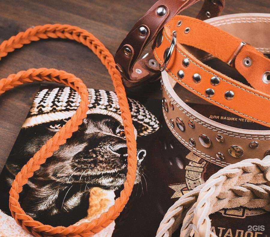 Отзывы на компанию Зоомагазин в г. Краснодар c фото