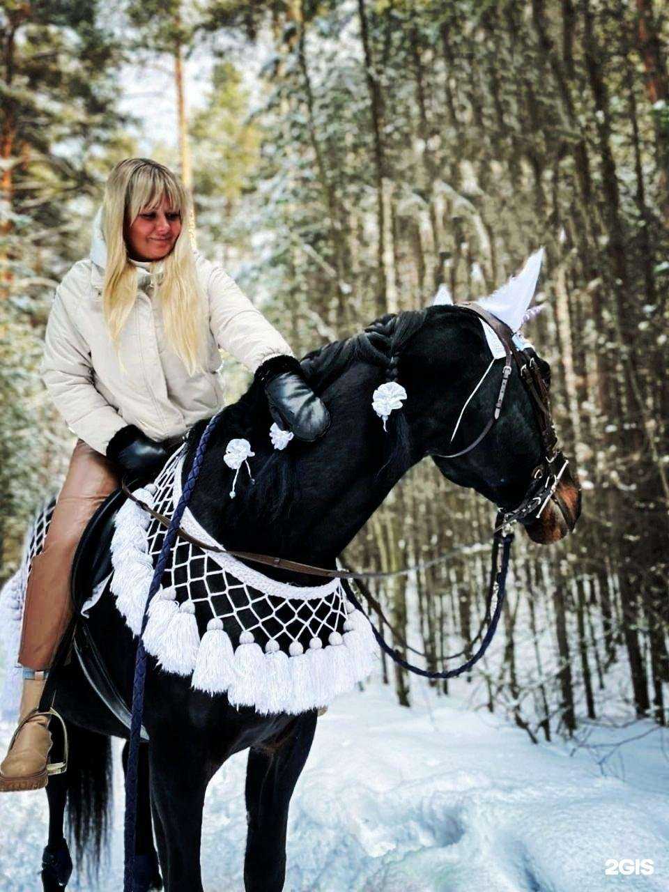 Отзывы на компанию Пегас в Перми c фото