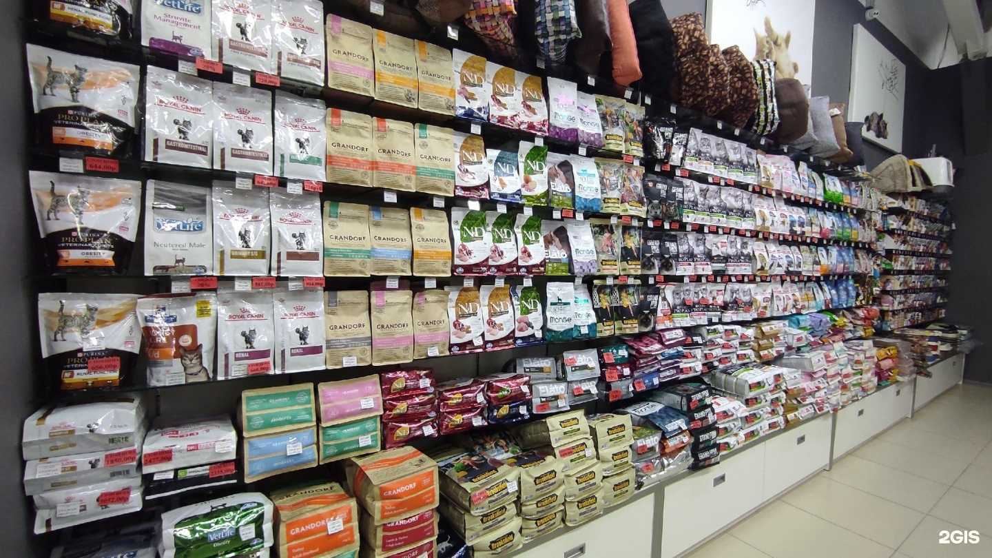 Отзывы на компанию Zoki в Йошкар-Оле c фото