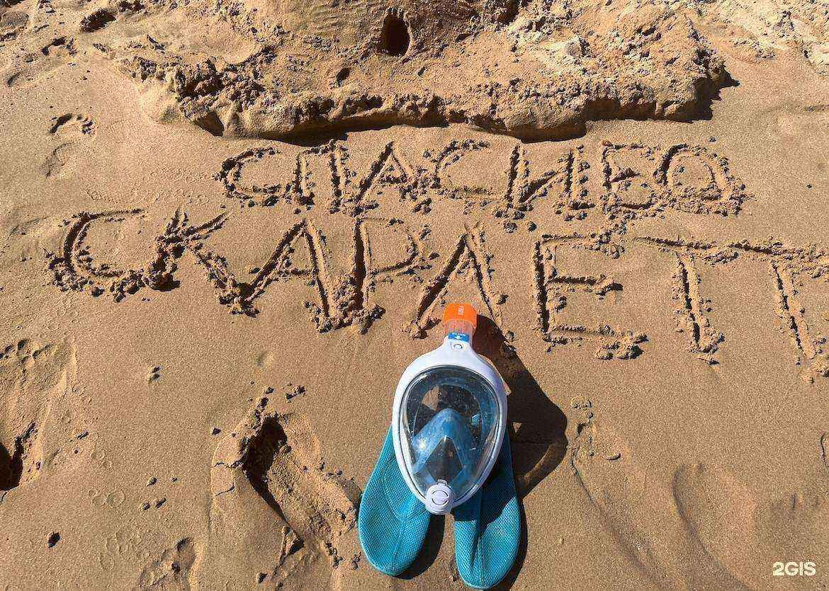 Отзывы на компанию Турагентство Скарлетт в г. Новосибирск c фото