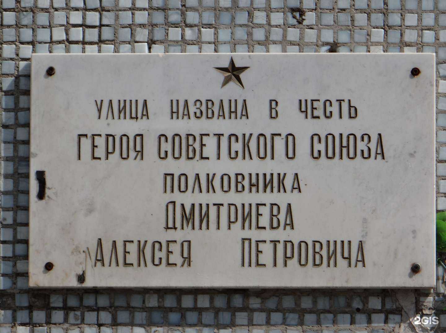 Отзывы на компанию New_Zoo в Омске c фото - фотография 2 из 2