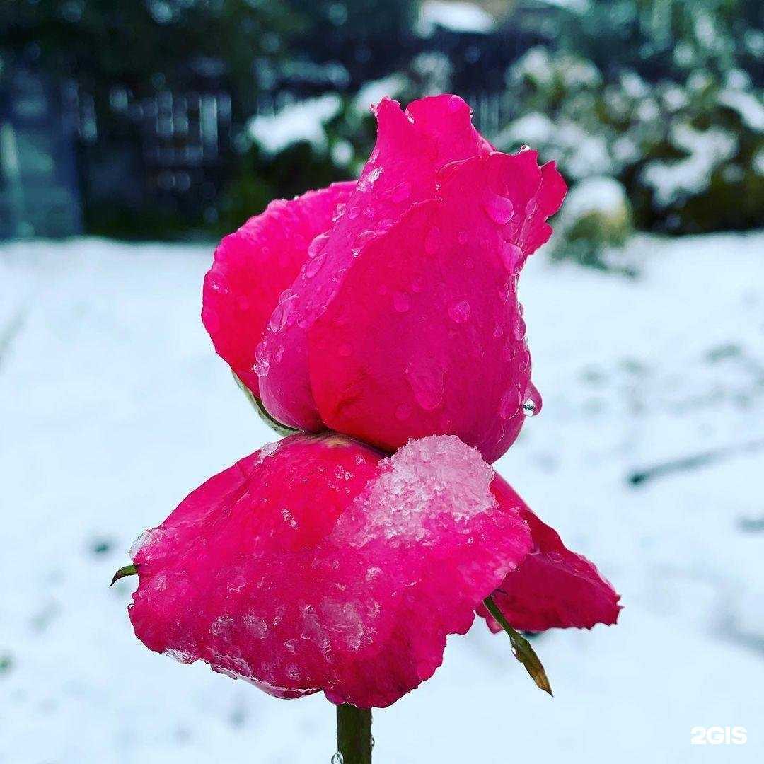 Отзывы на компанию Кабинет репетитора по химии в Кемерове c фото