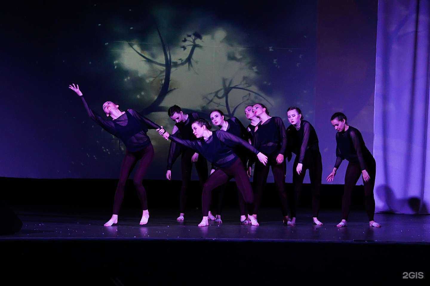 Отзывы на компанию Септима в Боре c фото