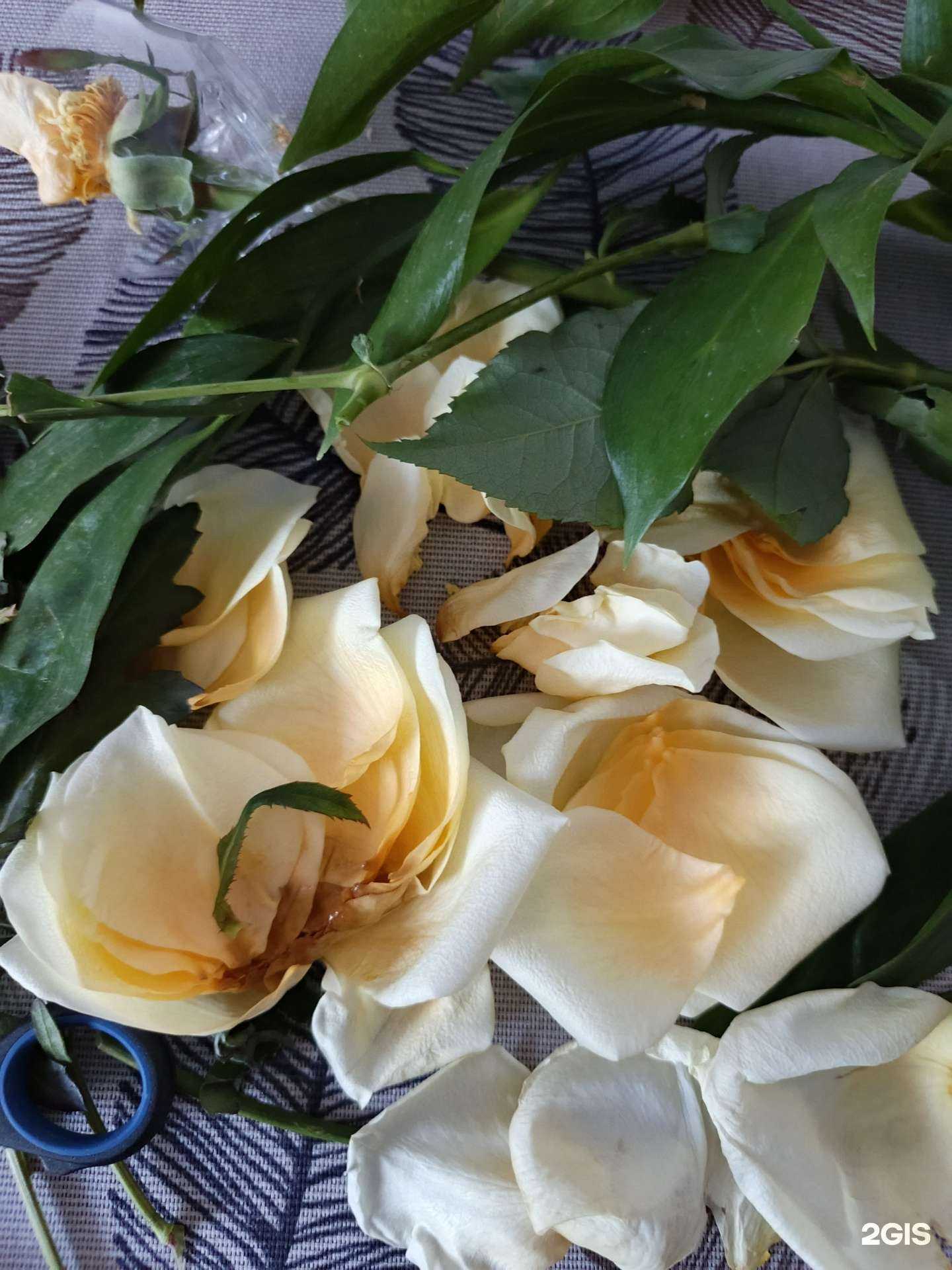 Отзывы на компанию Линия цветов в Воронеже c фото