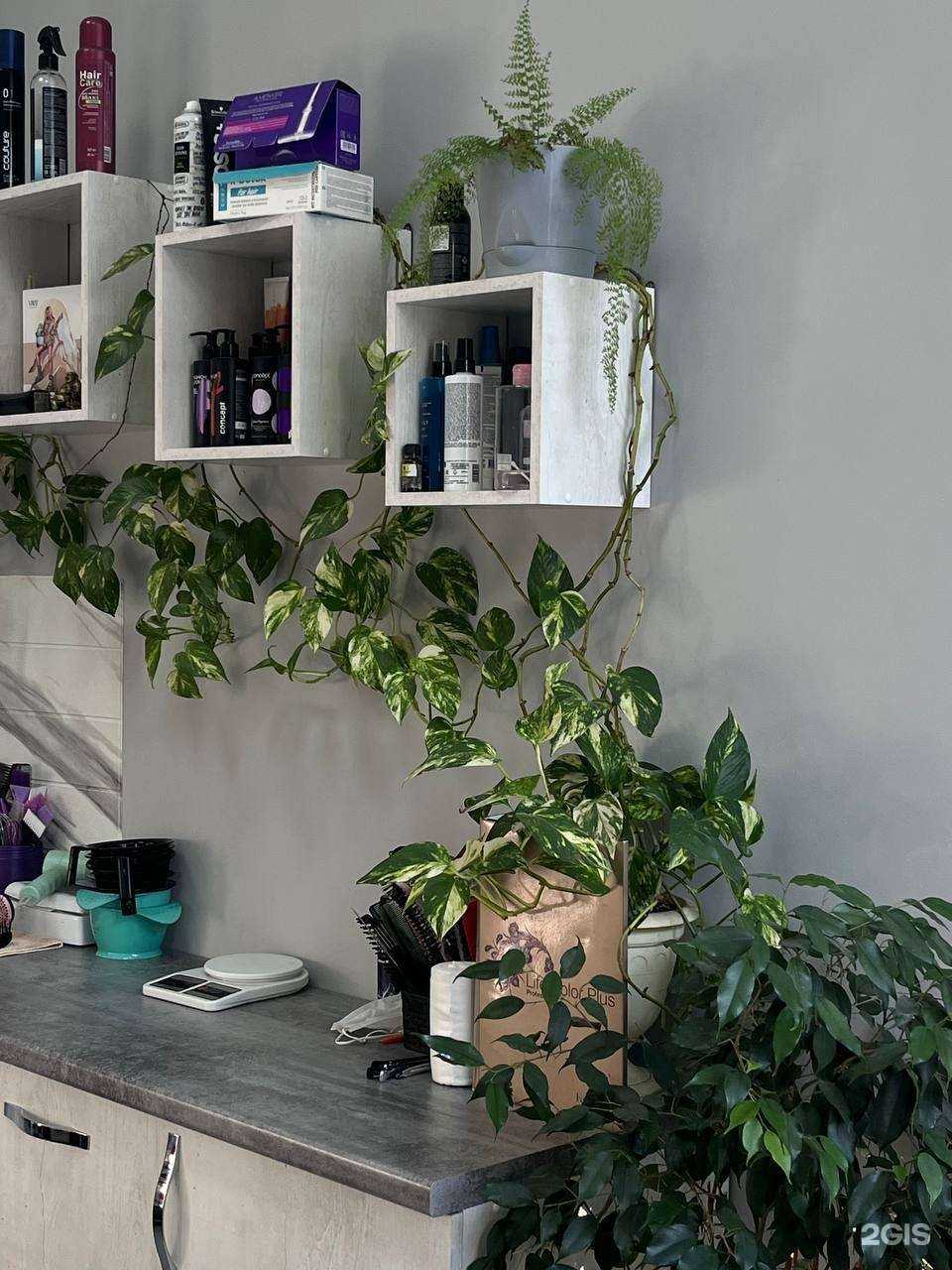 Отзывы на компанию Студия Марины Богер в Рубцовске c фото