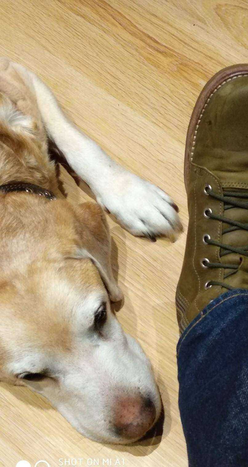 Отзывы на компанию Мастерская в г. Новосибирск c фото