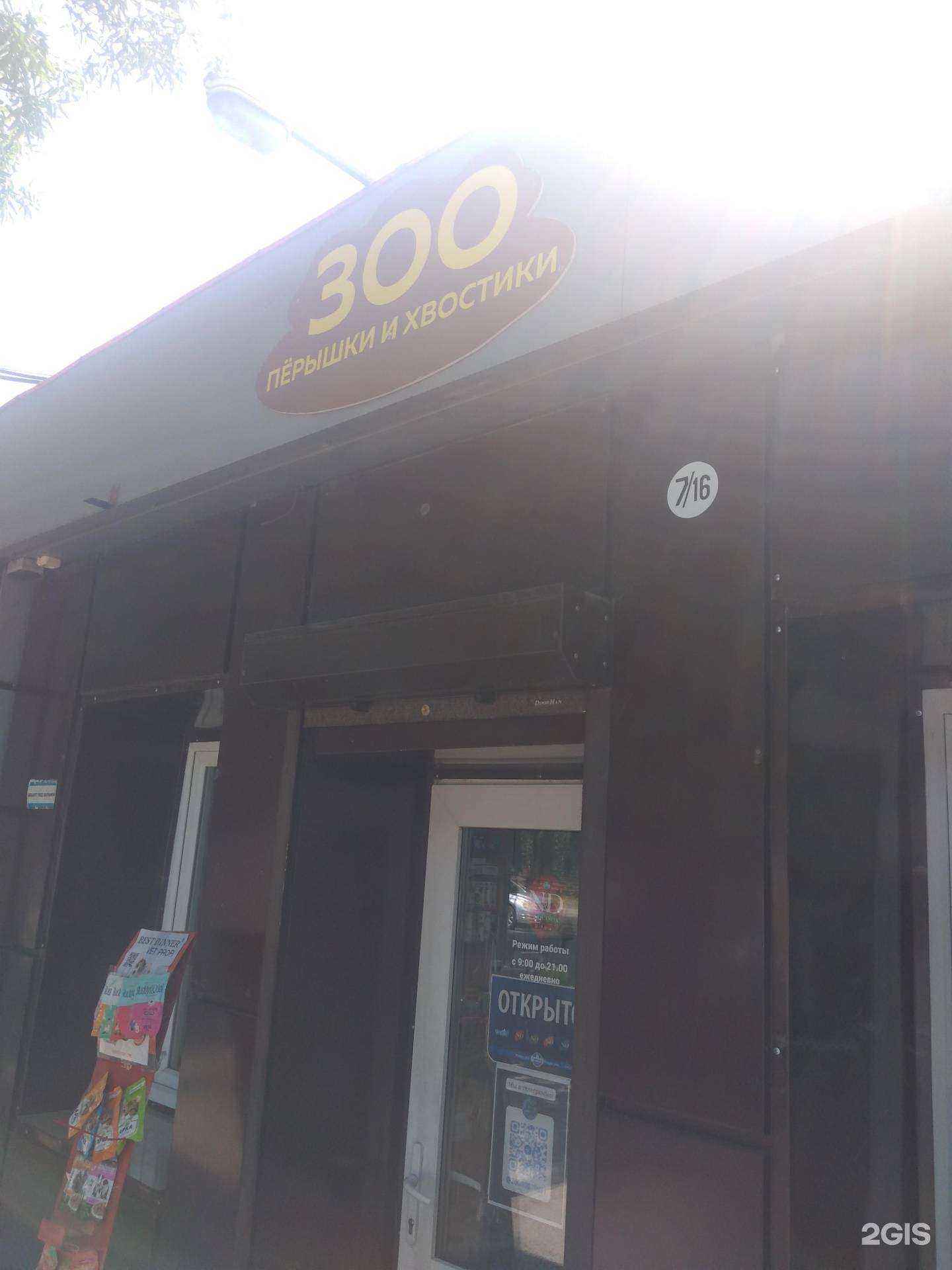 Отзывы на компанию Зоо пёрышки и хвостики в Ростове-на-Дону c фото