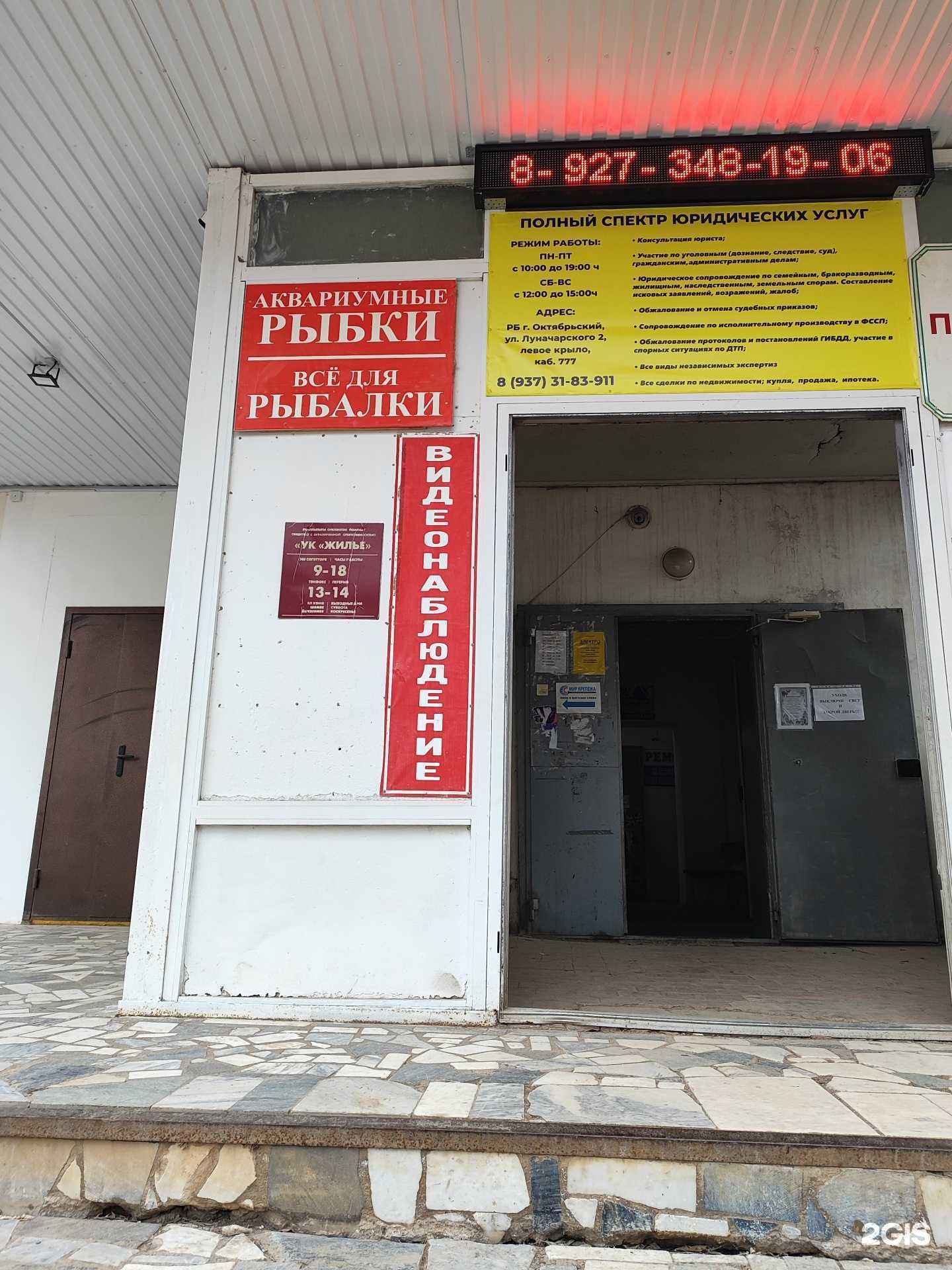 Отзывы на компанию Магазин аквариумных рыбок в Октябрьском c фото