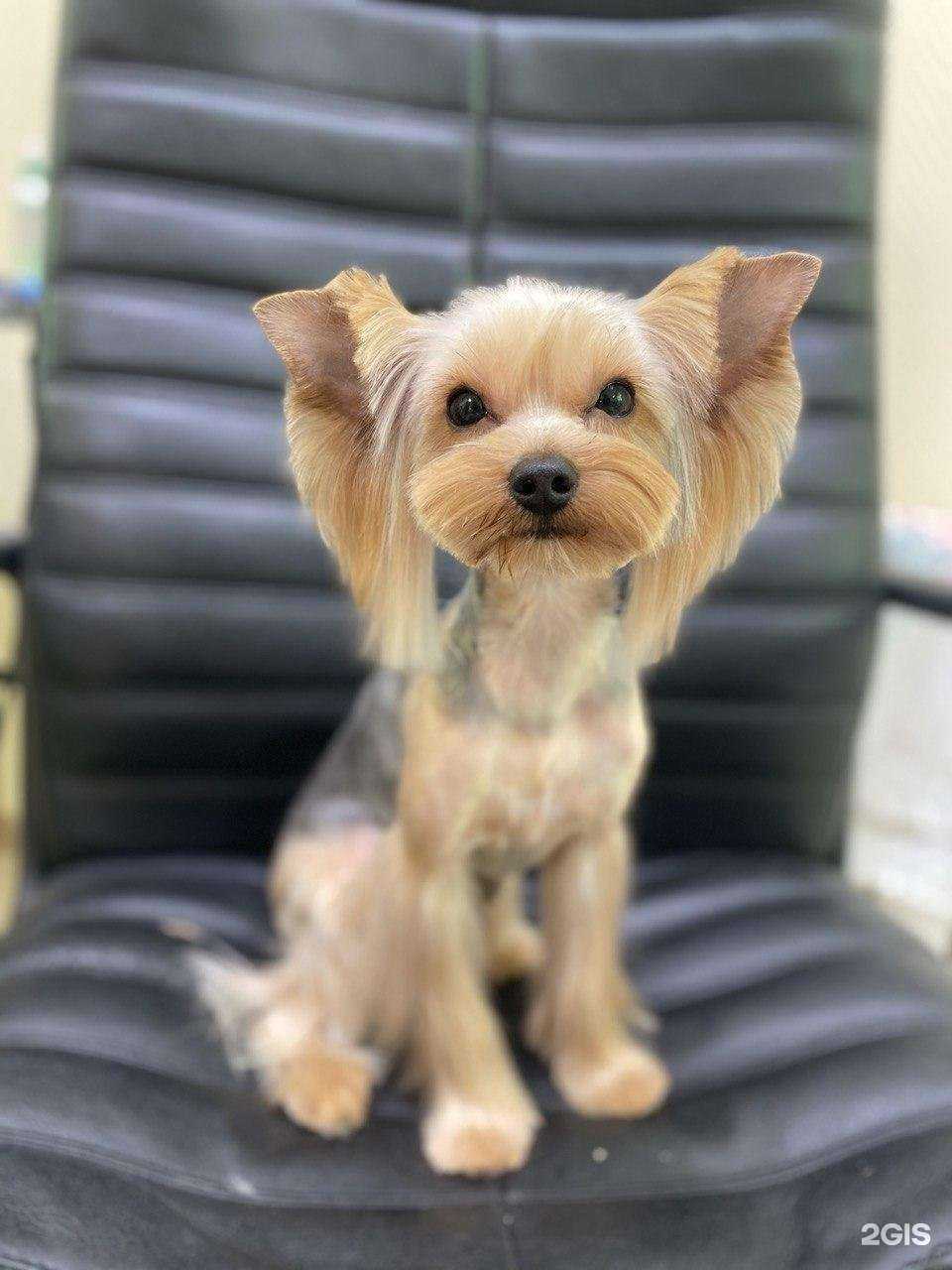 Отзывы на компанию HappyGroom в Екатеринбурге c фото