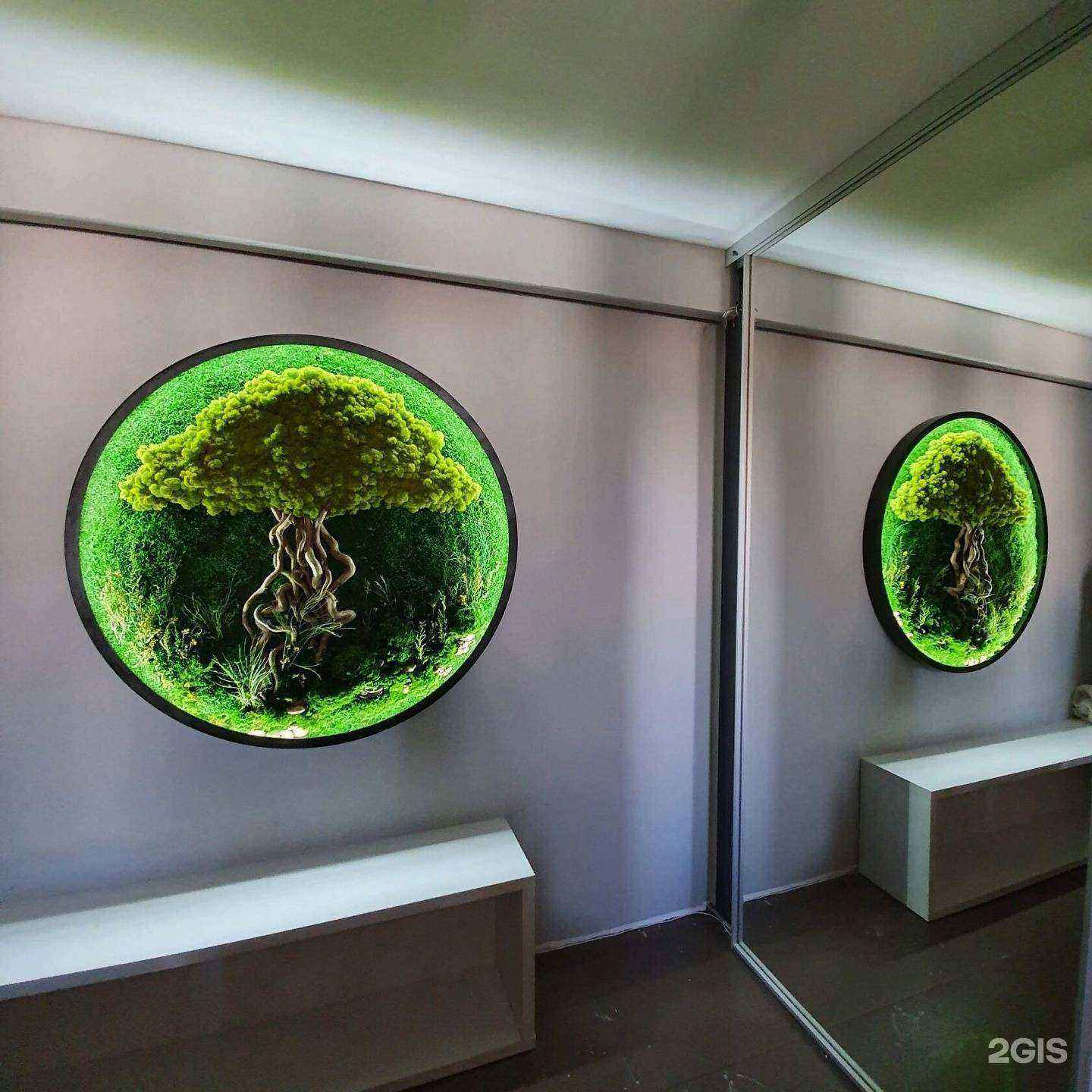 Отзывы на компанию RaStenia в г. Красноярск c фото