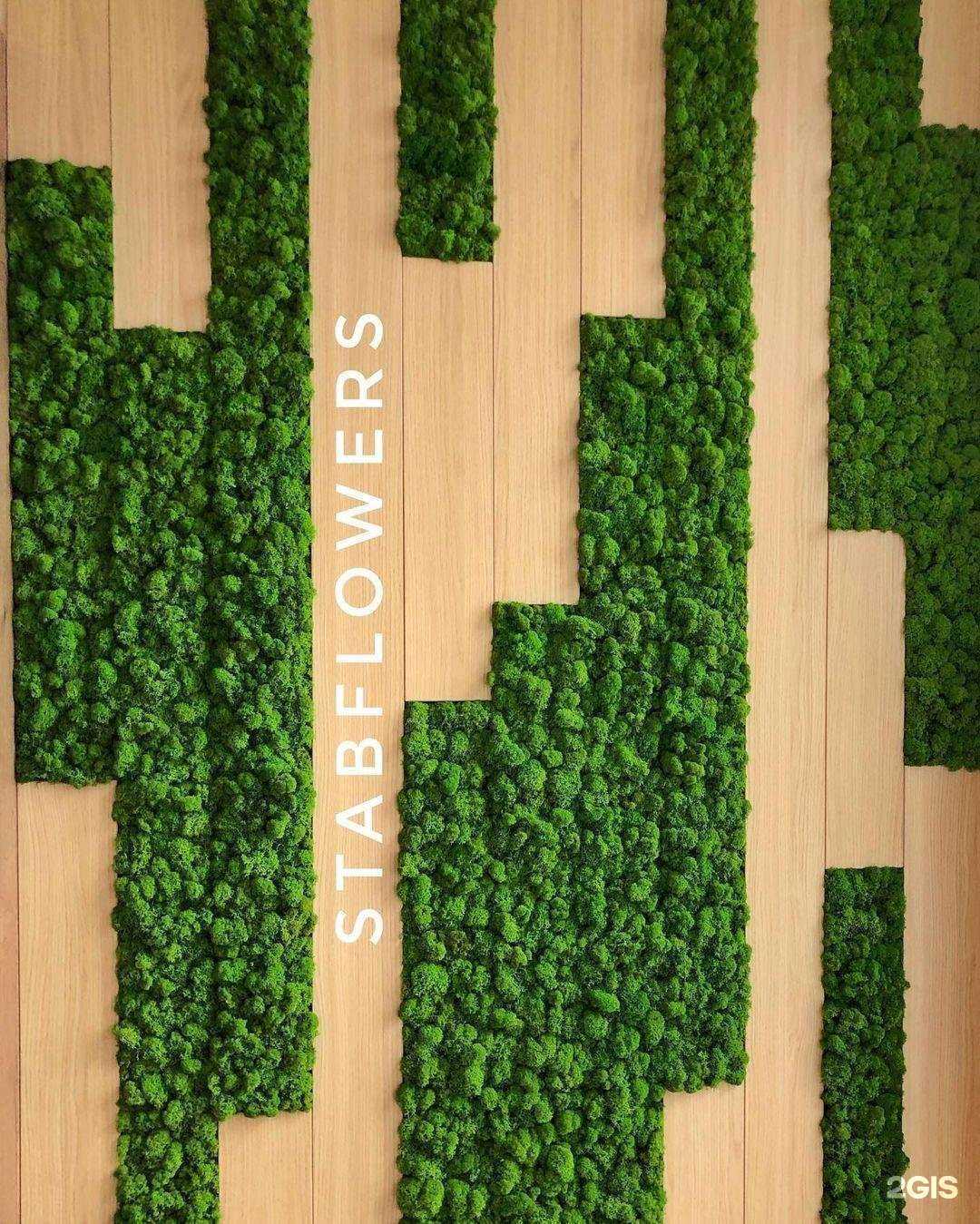 Отзывы на компанию Stabflowers в г. Ростов-на-Дону c фото