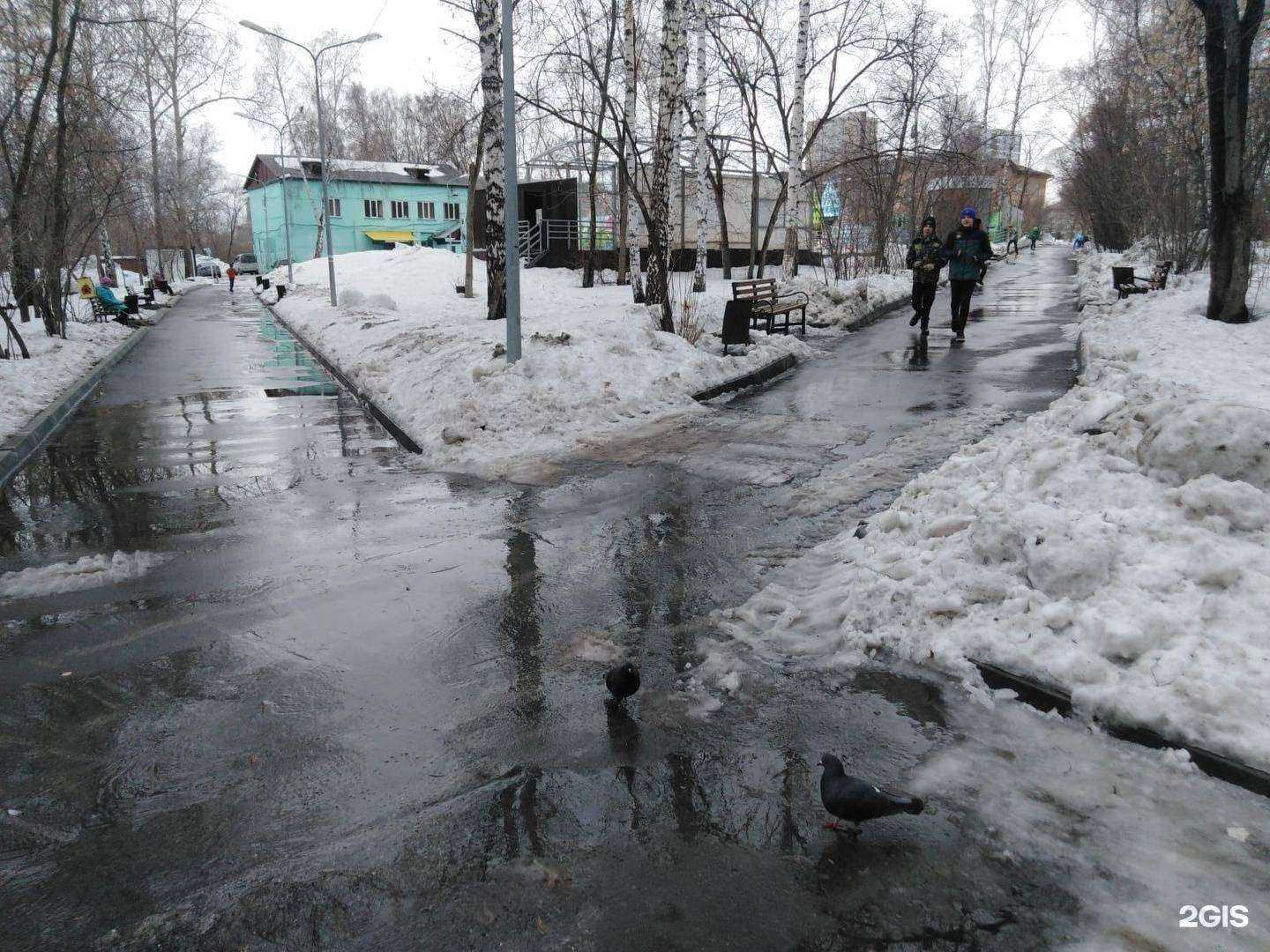 Отзывы на компанию Бугринская роща в г. Новосибирск c фото