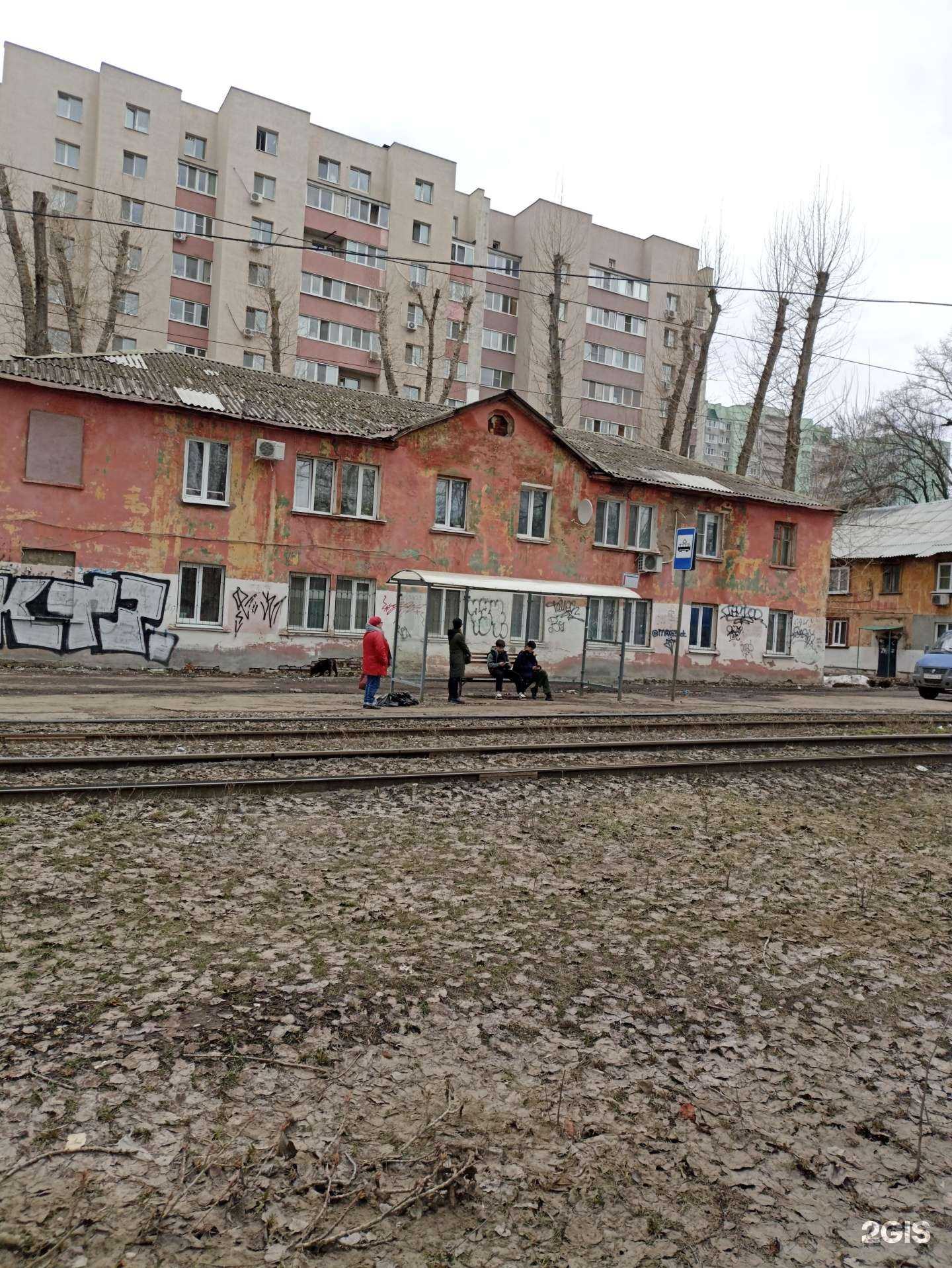 Отзывы на компанию МурМурГрум в Самаре c фото - фотография 2 из 2