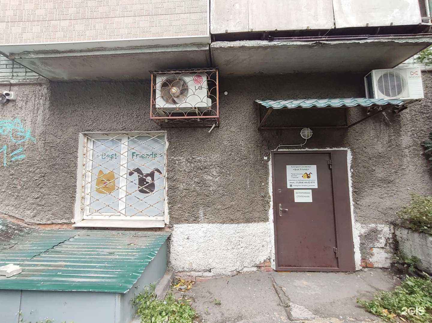 Отзывы на компанию Best friends в Владивостоке c фото