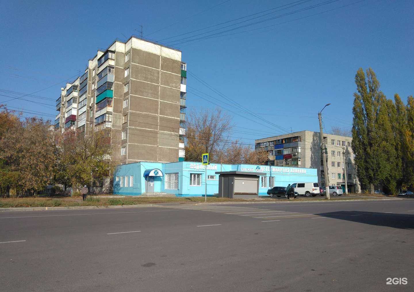 Отзывы на компанию Подлесный в Курске c фото - фотография 2 из 2