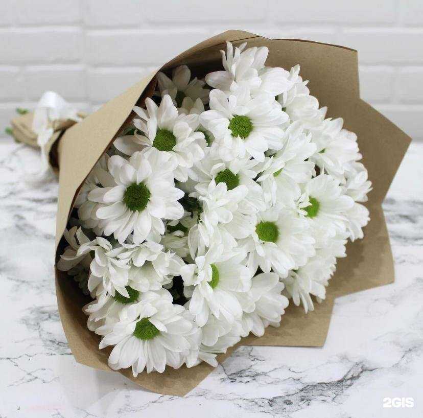 Отзывы на компанию Ладиган в Уфе c фото