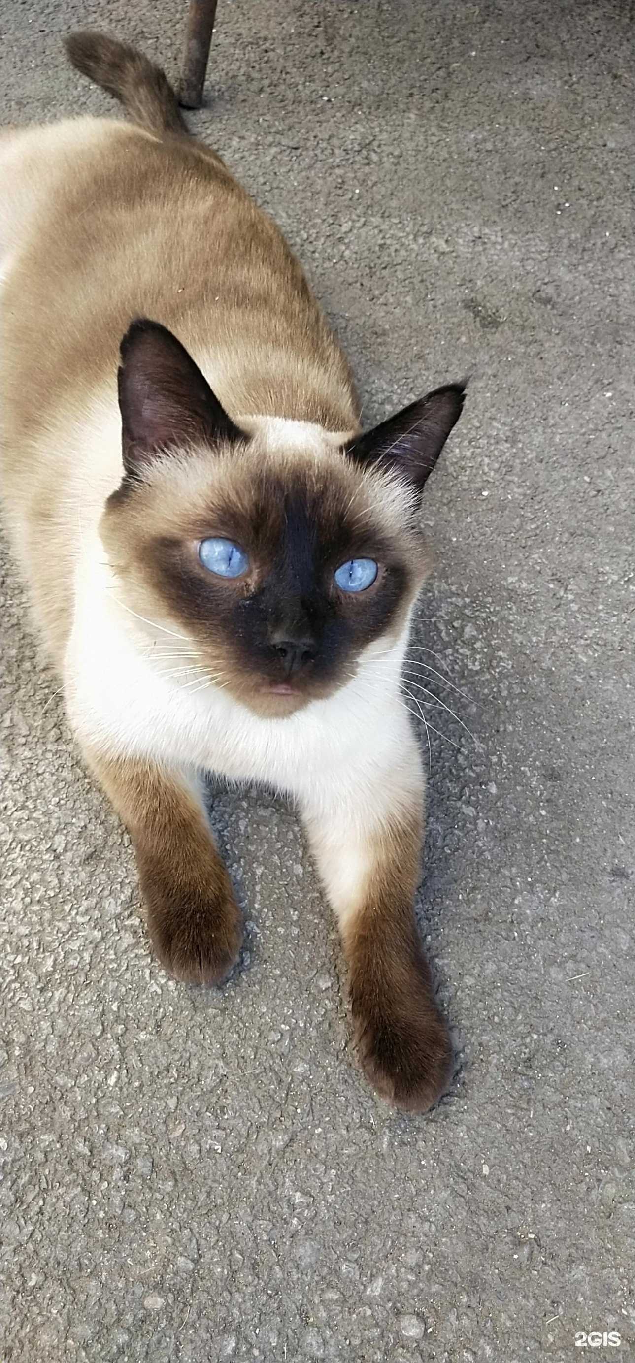 Отзывы на компанию Вита в Таганроге c фото