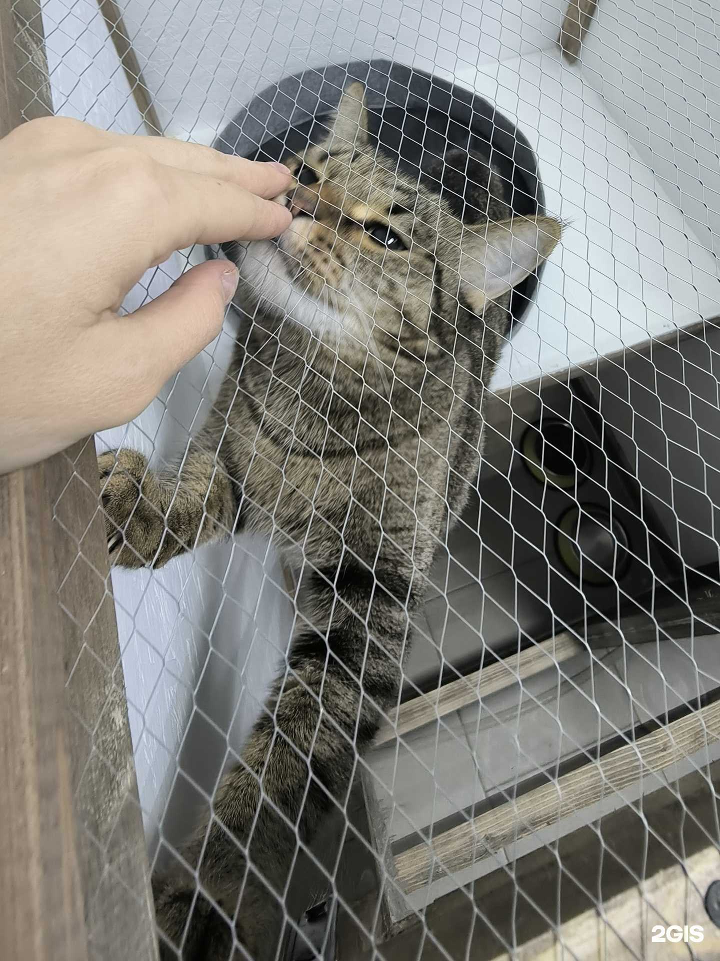 Отзывы на компанию Багира в Саратове c фото