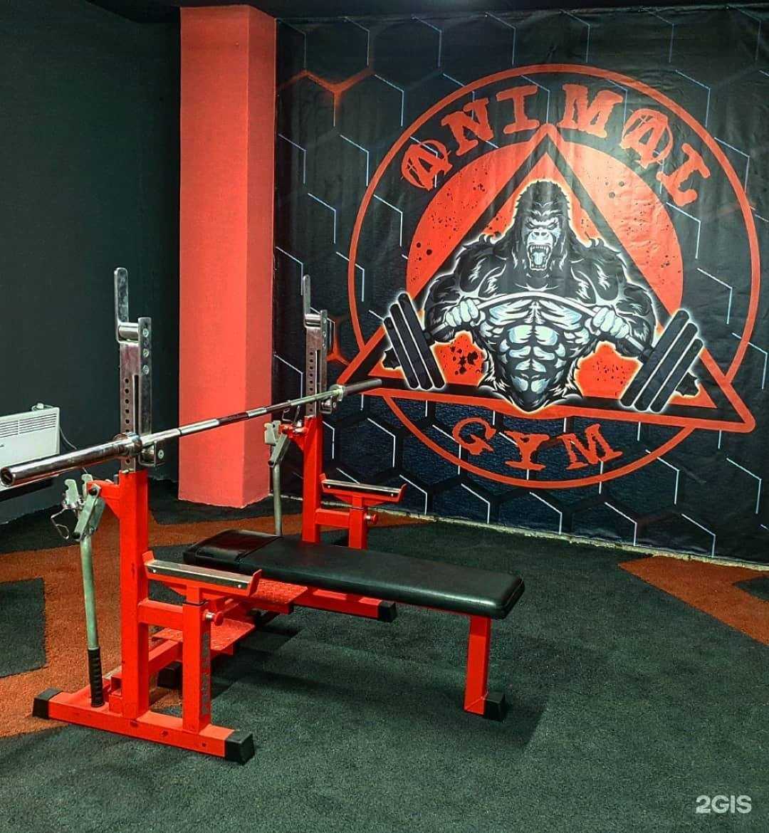 Отзывы на компанию Animal Gym в г. Валуйки c фото