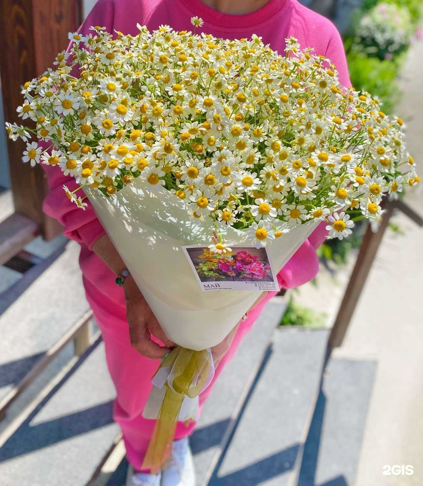 Отзывы на компанию Май в Новосибирске c фото