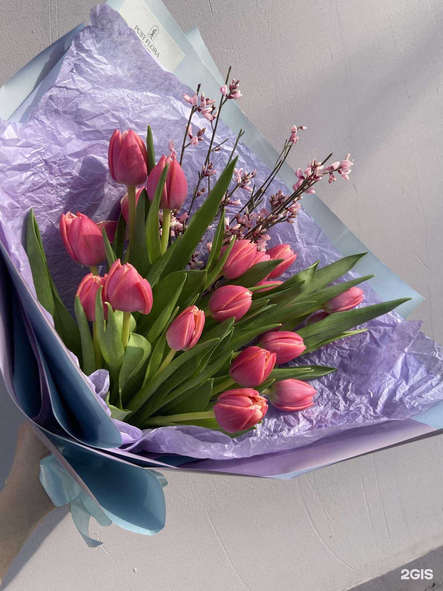 Отзывы на компанию Pusy flora в г. Калуга c фото