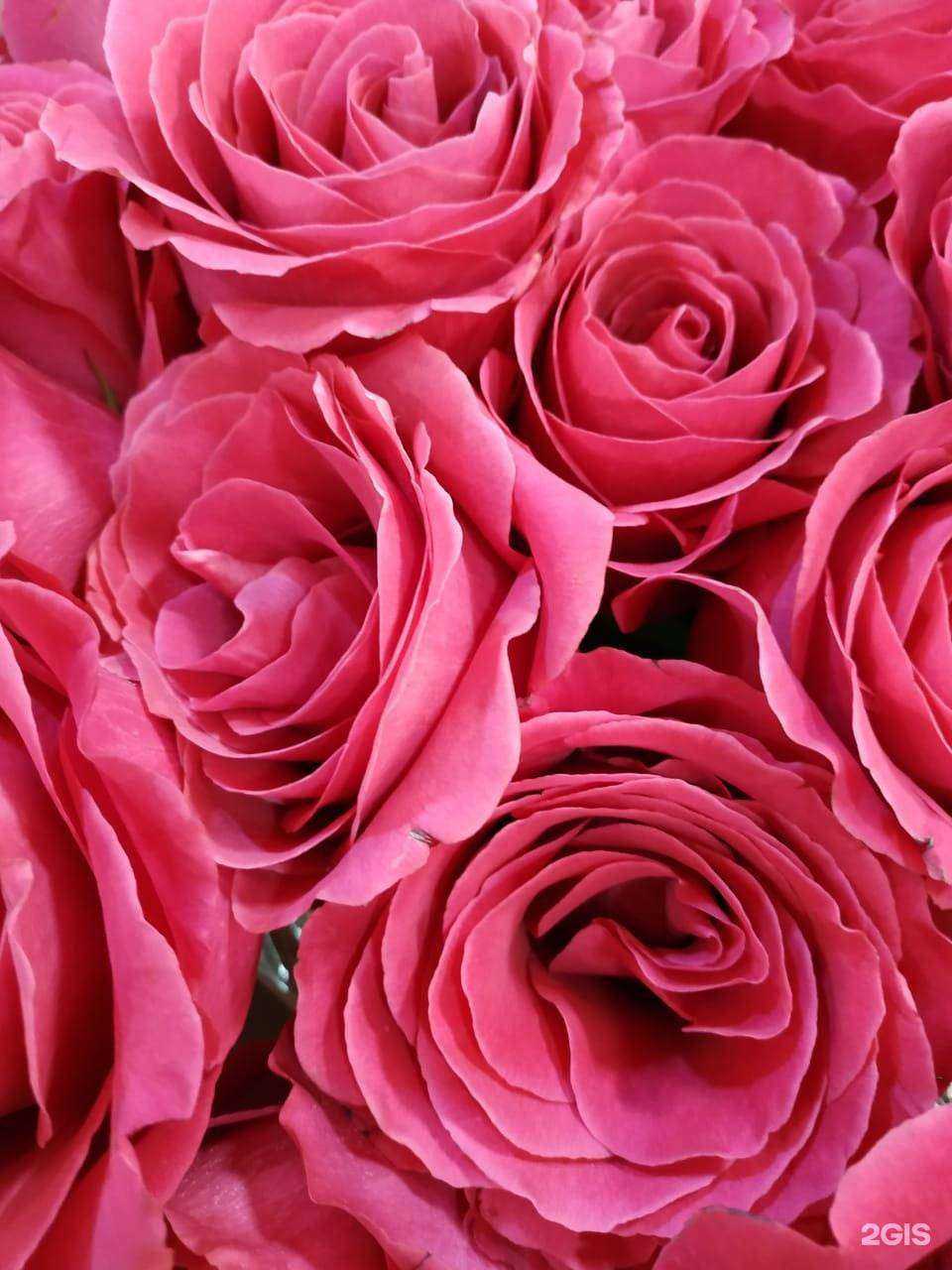 Отзывы на компанию Цветочный рынок в г. Геленджик c фото