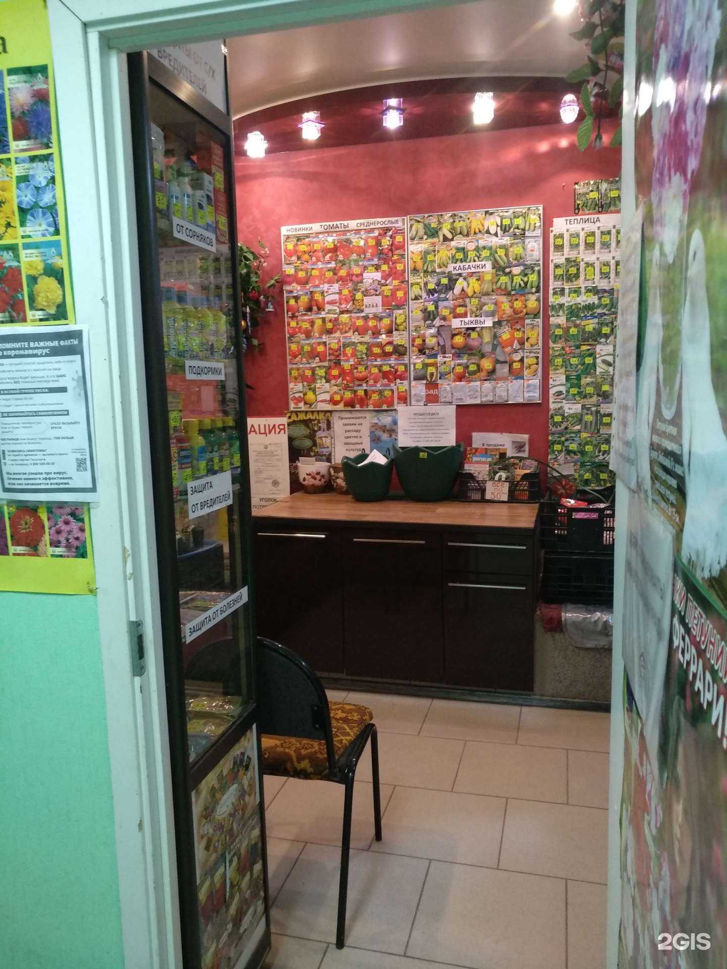 Отзывы на компанию Семена Татьяна в Балашихе c фото