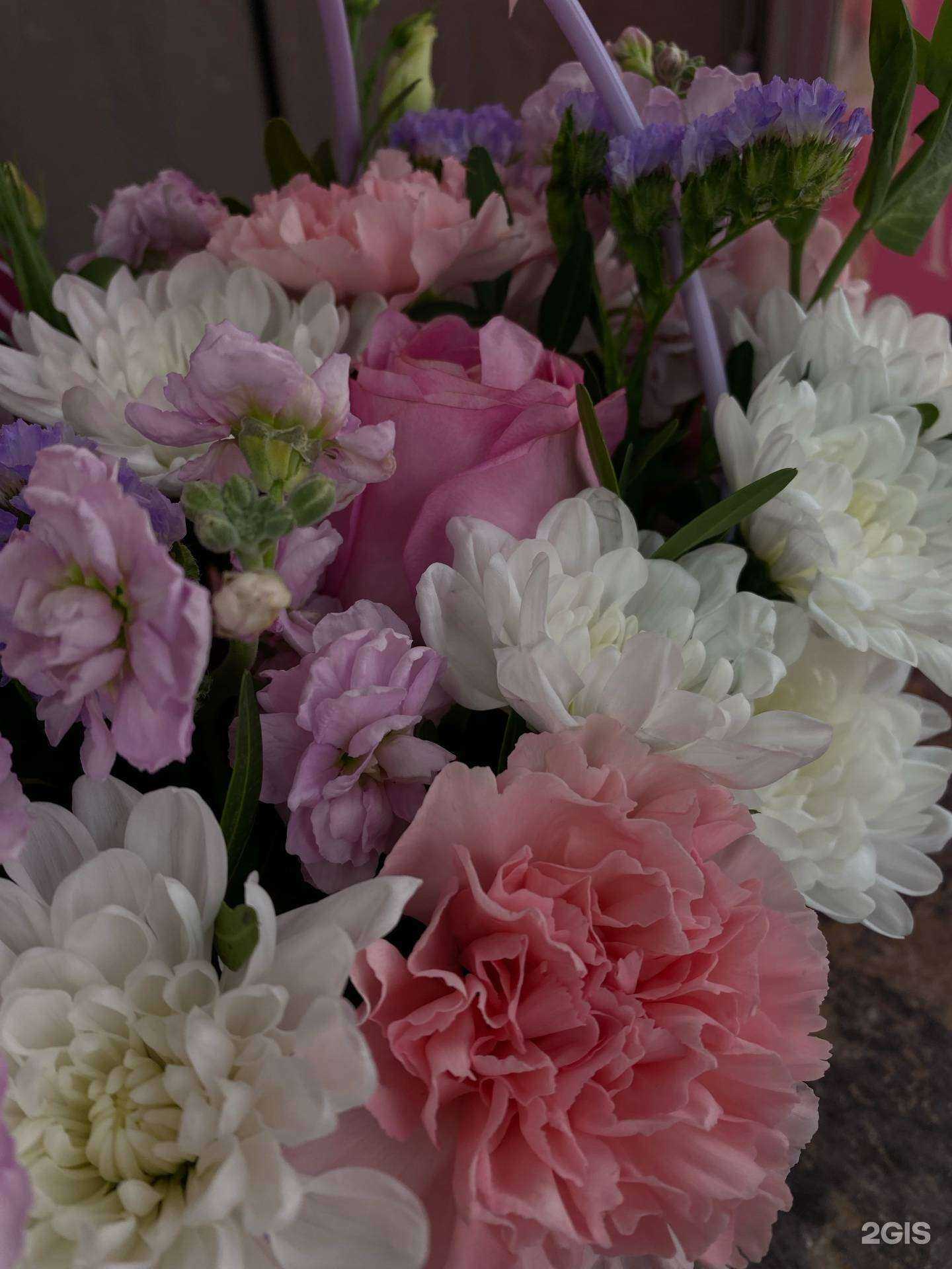 Отзывы на компанию Виола в г. Омск c фото