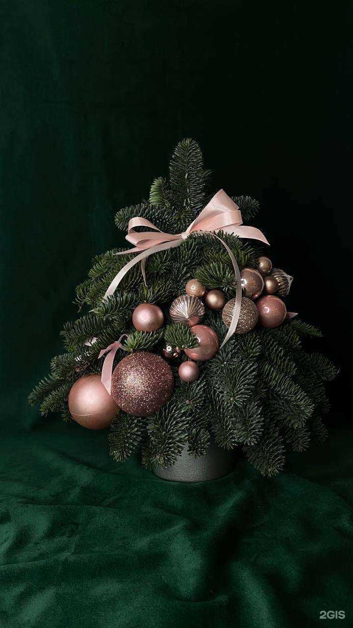 Отзывы на компанию Morerozz в Краснодаре c фото