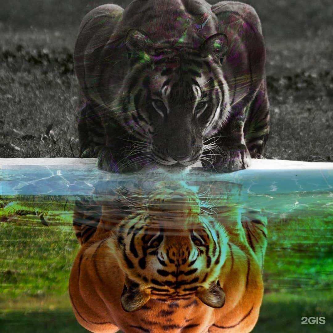 Отзывы на компанию Jekky в Петропавловске-Камчатском c фото