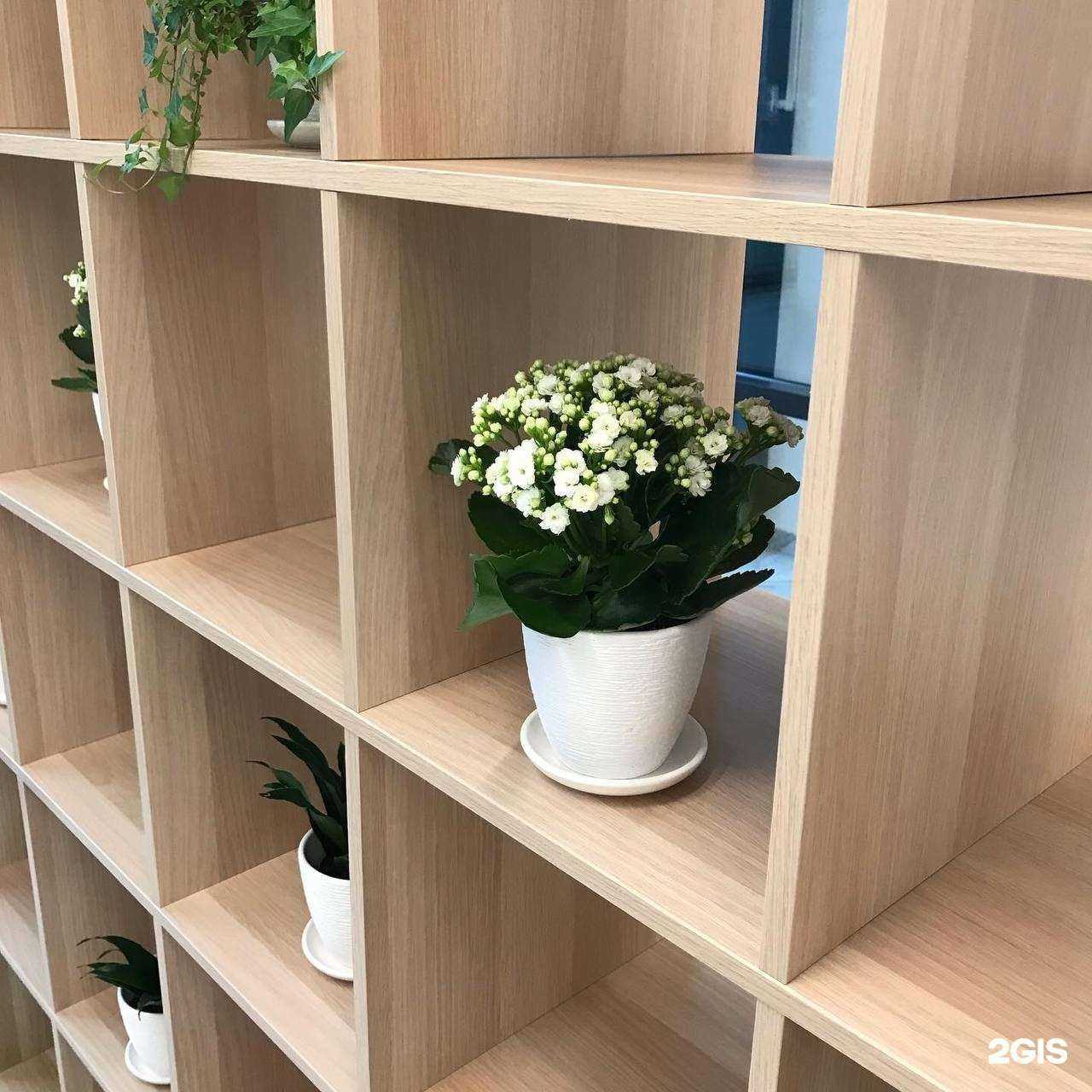 Отзывы на компанию Eco Clinic в Екатеринбурге c фото