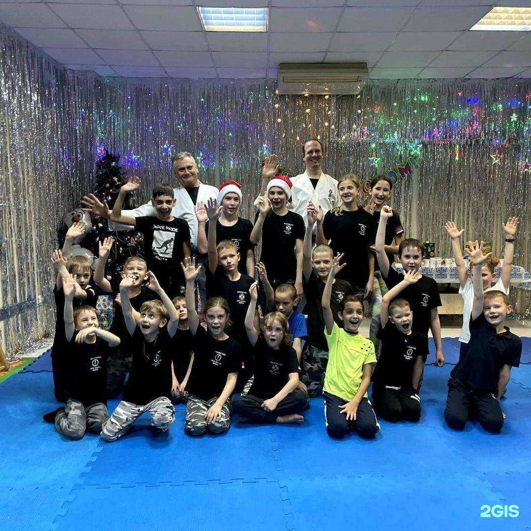 Отзывы на компанию Bushido Kids в Батайске c фото