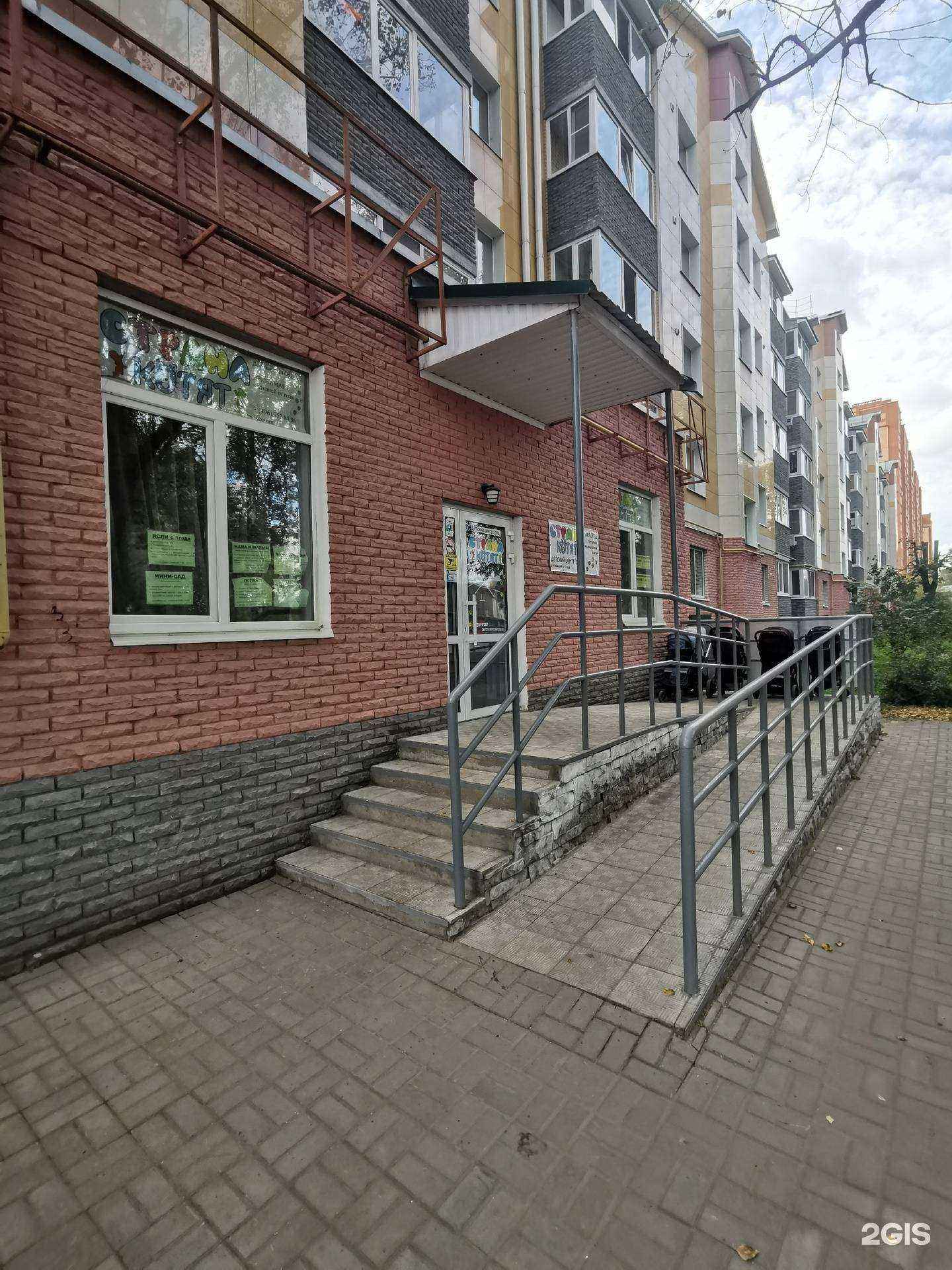 Отзывы на компанию Страна котят в Йошкар-Оле c фото